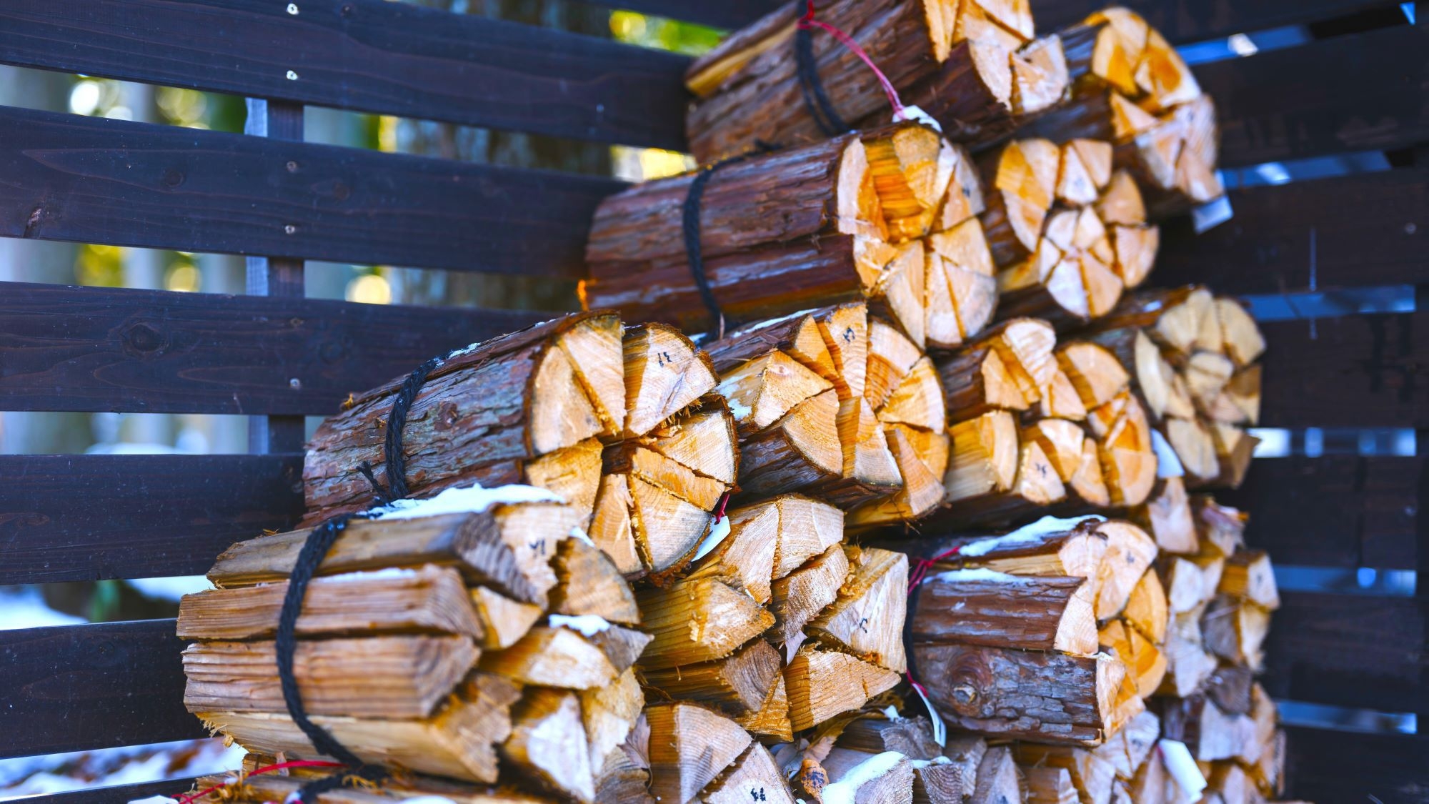 エコ連泊プラン〜厳選那須高原和牛を盛り込んだBBQコース〜