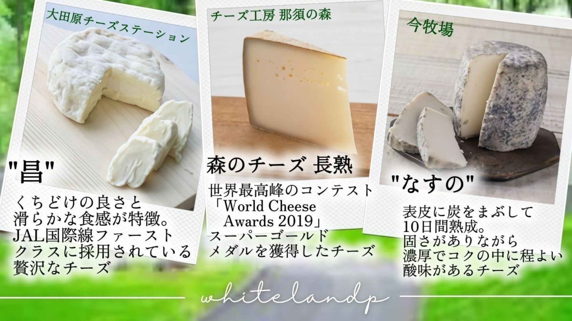 セレクトチーズのオードブル付きプラン〜厳選那須高原和牛を盛り込んだBBQコース〜