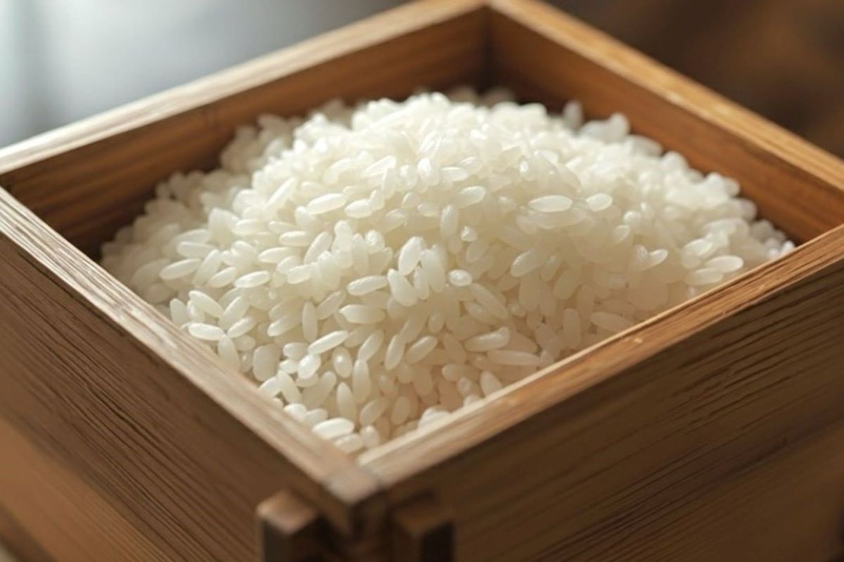 【数量限定】那須産のブランド新米2㎏プレゼントのご宿泊プラン