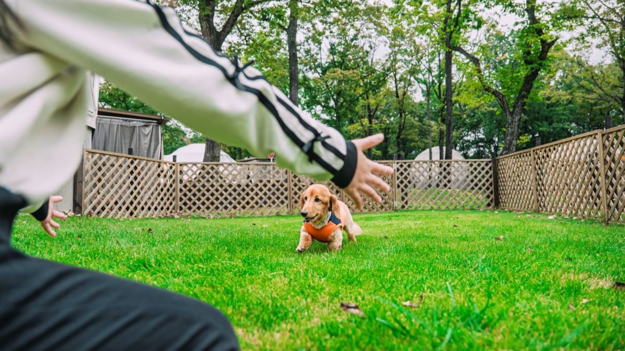 手作りドッグラン