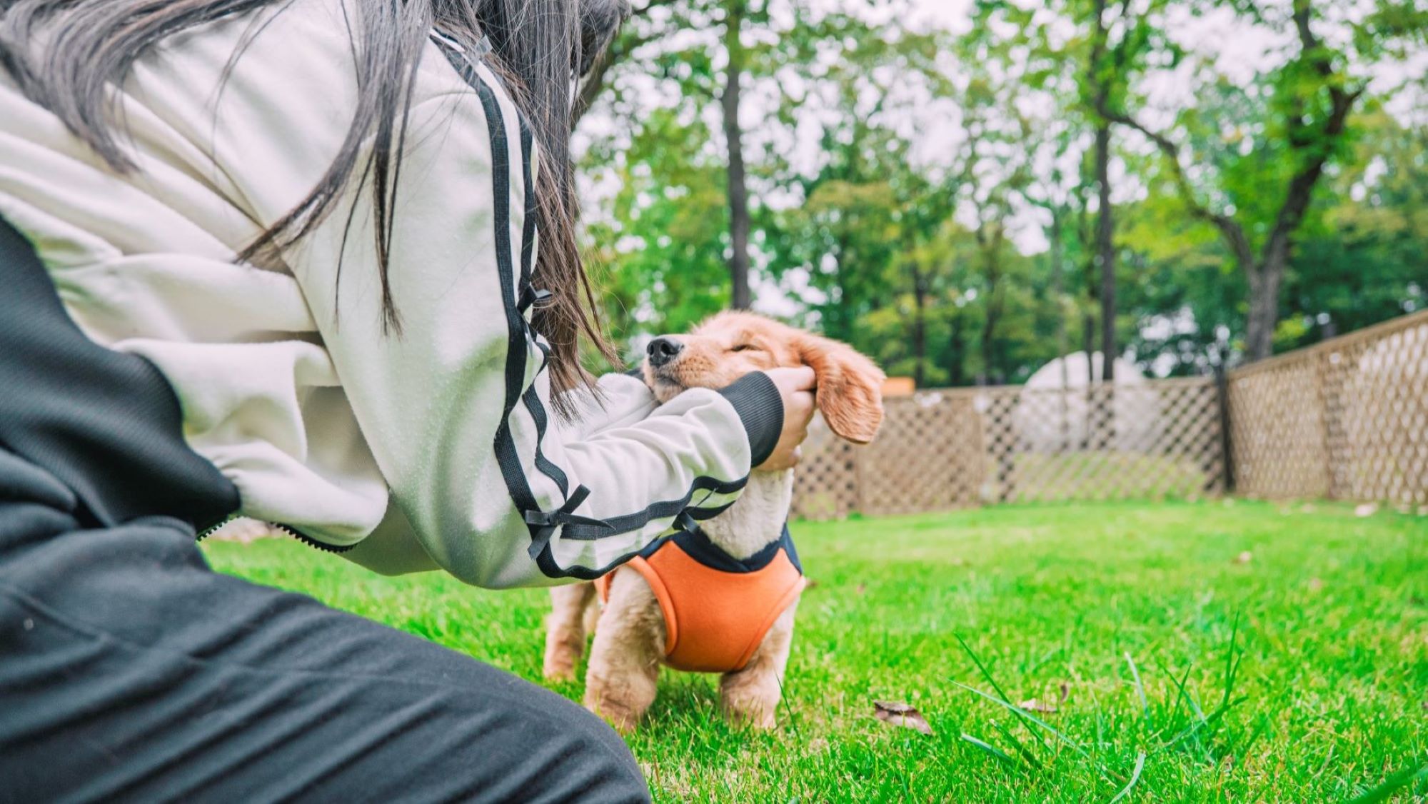 手作りドッグラン