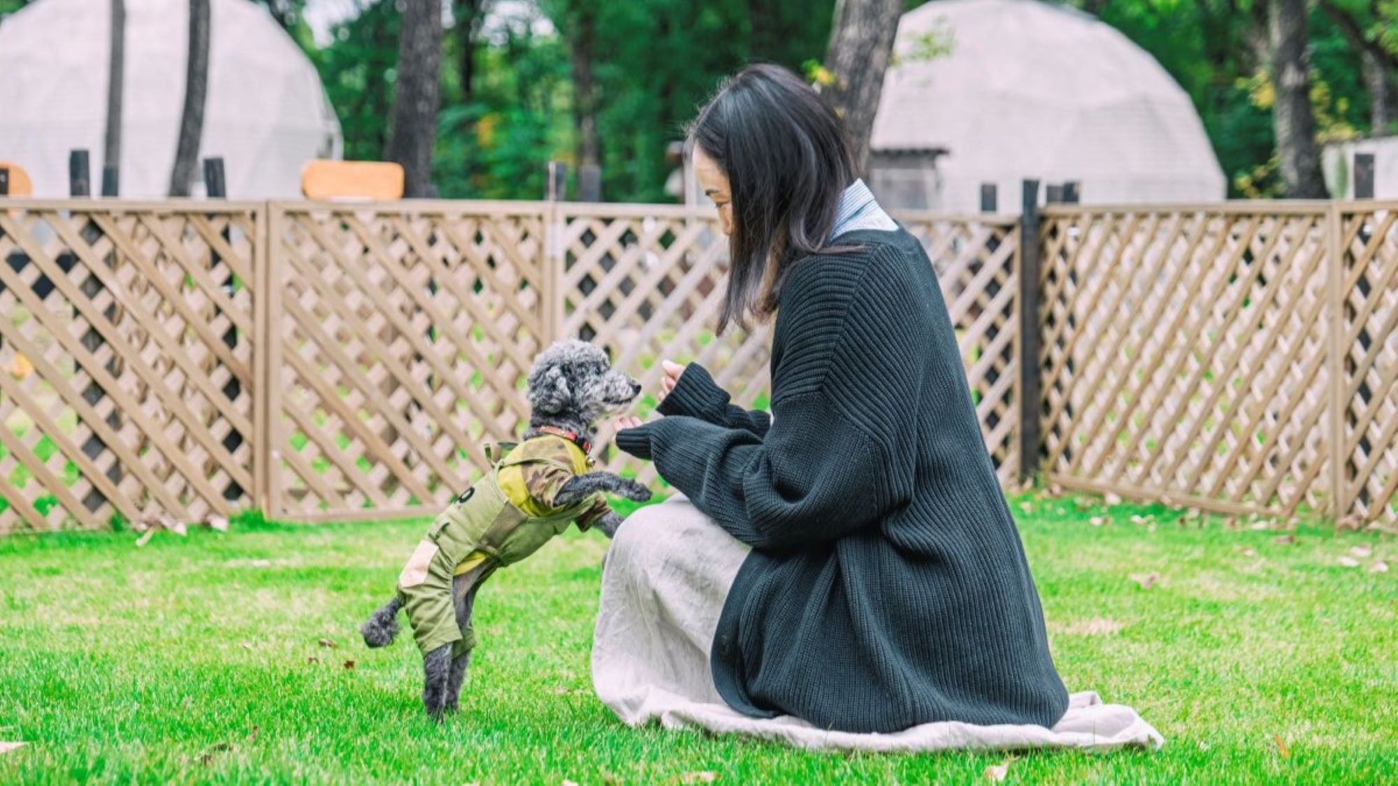 手作りドッグラン