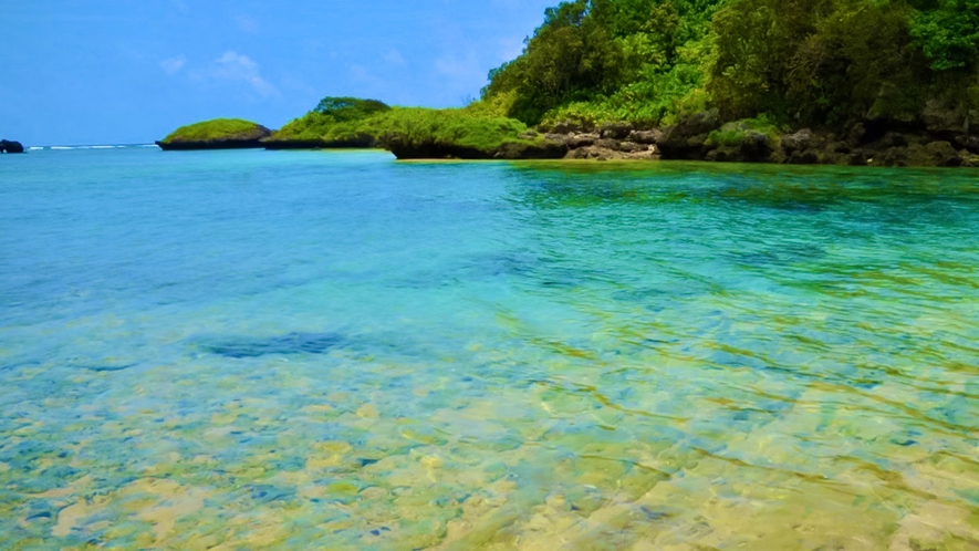 ・【周辺】星の形をした砂が広がる星砂の浜。沖縄ならではの透き通った青い海が一面に広がります