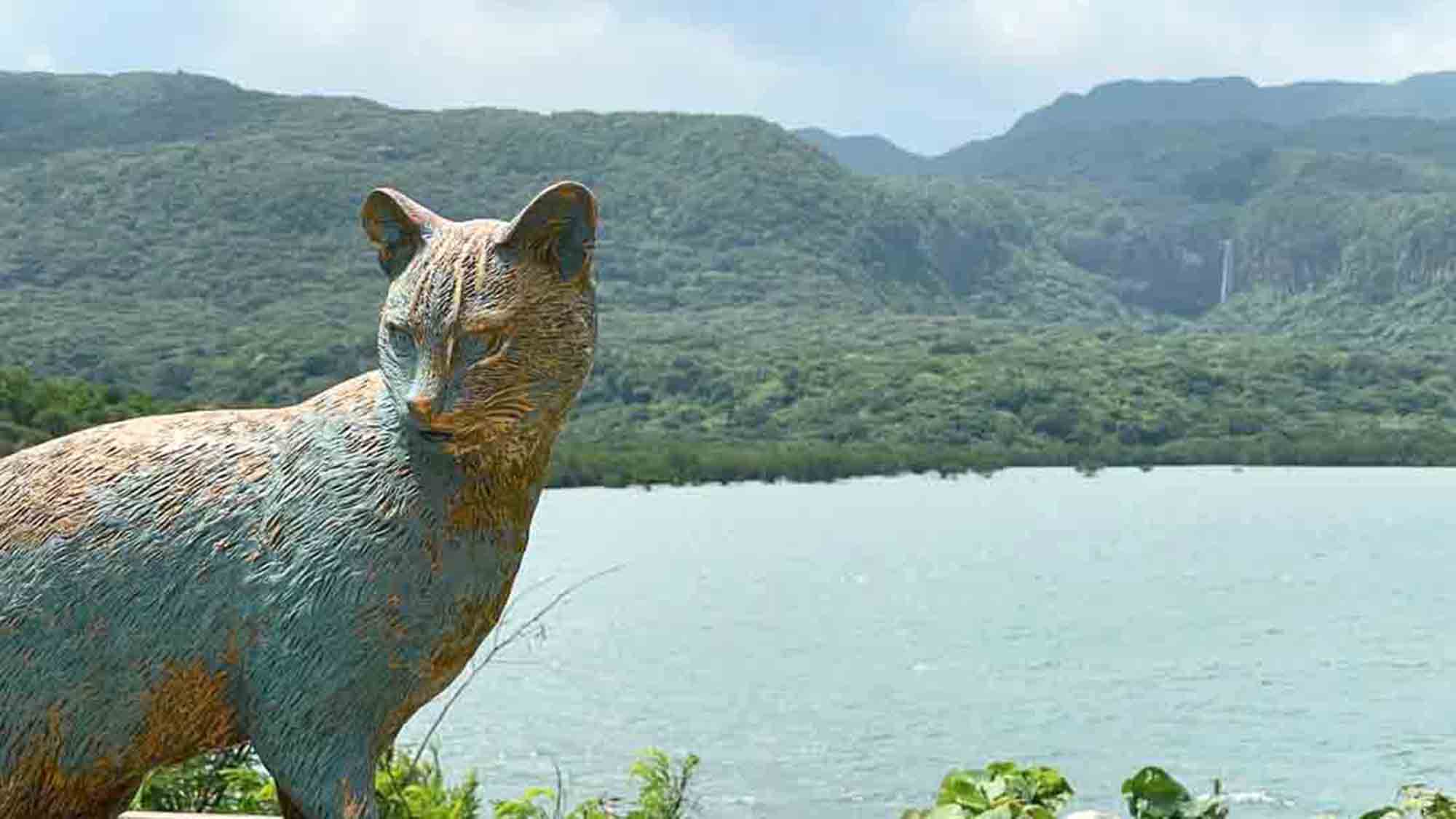 ・【周辺】西表島にのみ生息する絶滅危惧種、ヤマネコの銅像巡りはいかがですか？