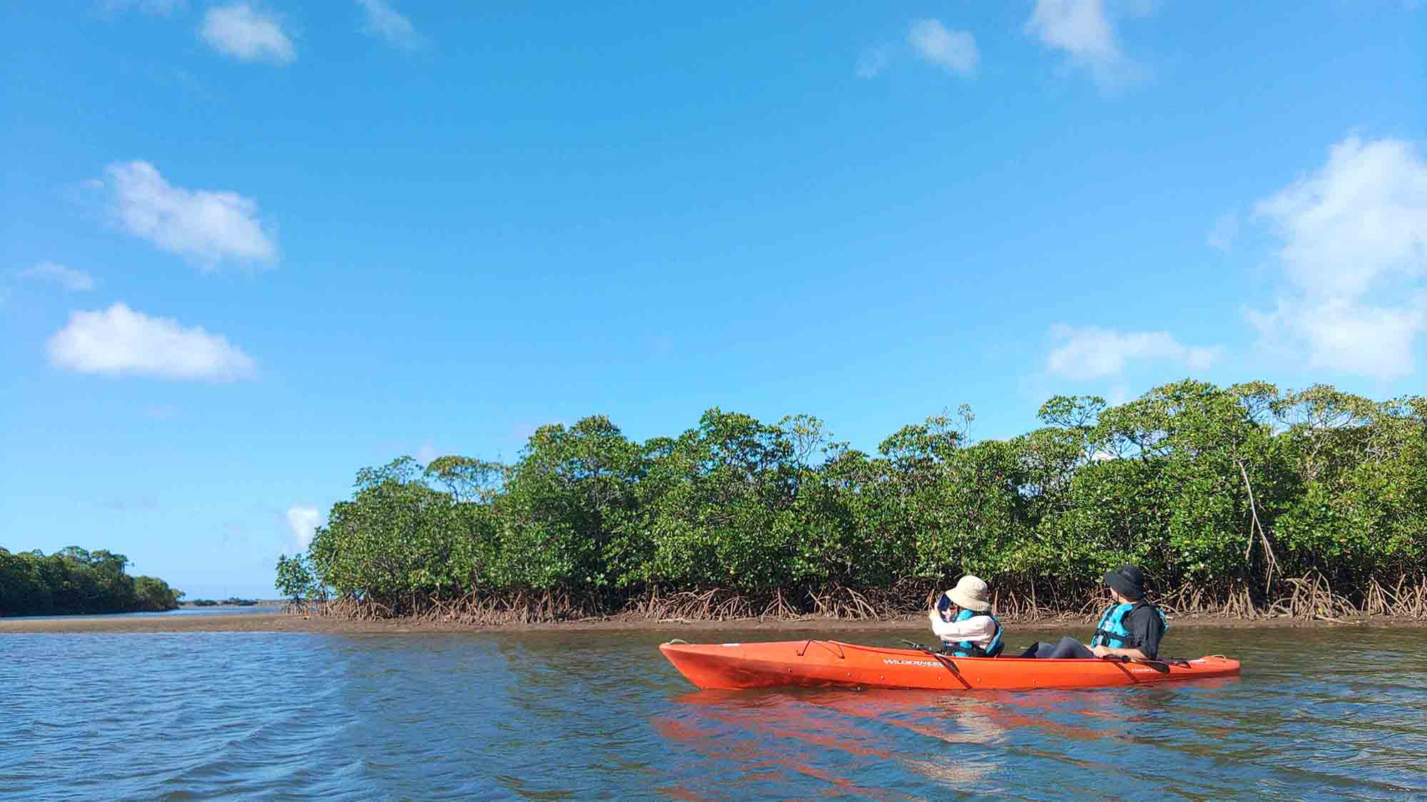 ・【周辺】マングローブの森を探検！大自然を満喫できるマングローブカヤックがおすすめです