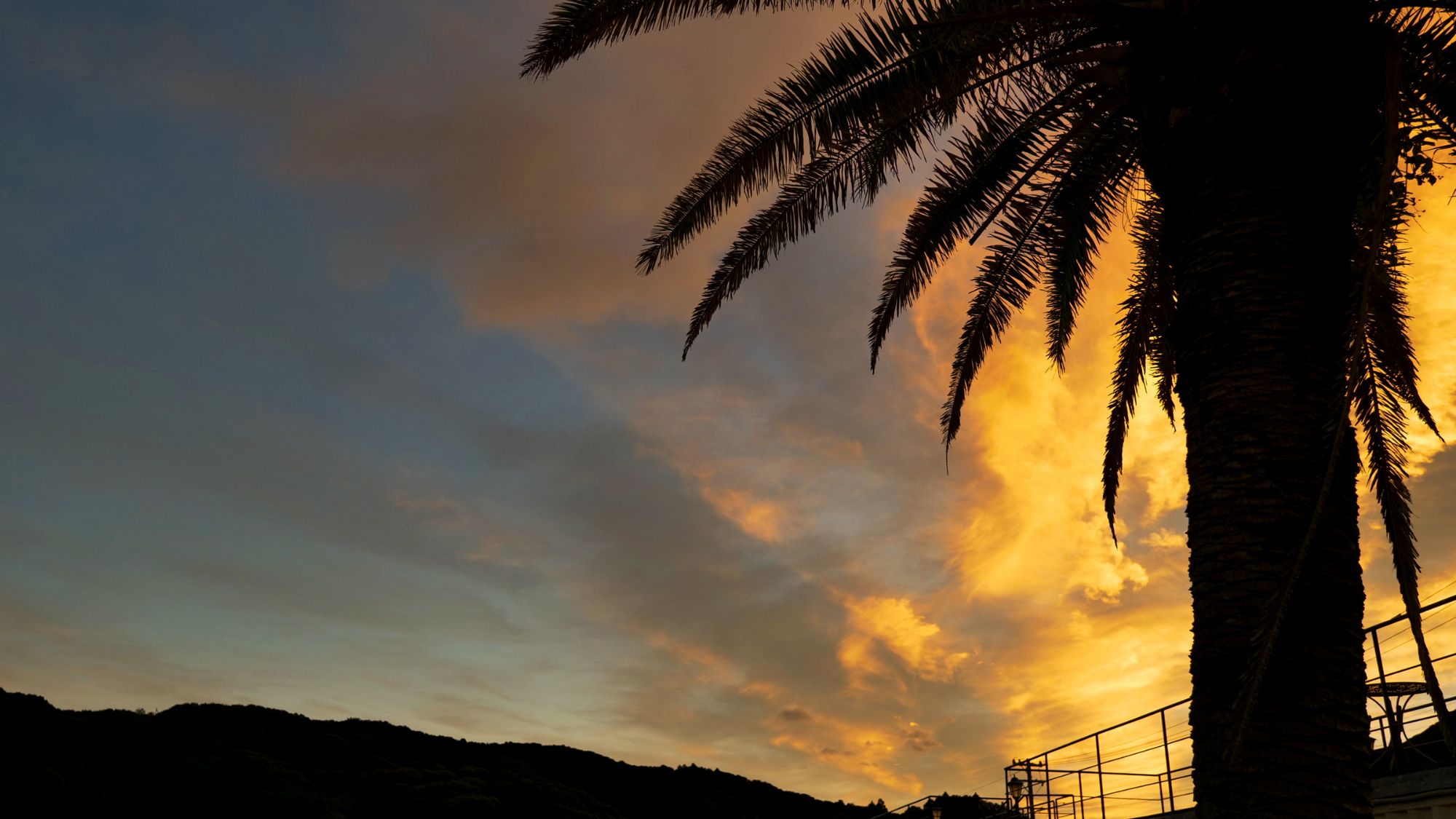 田曾白浜リゾートから見える景色