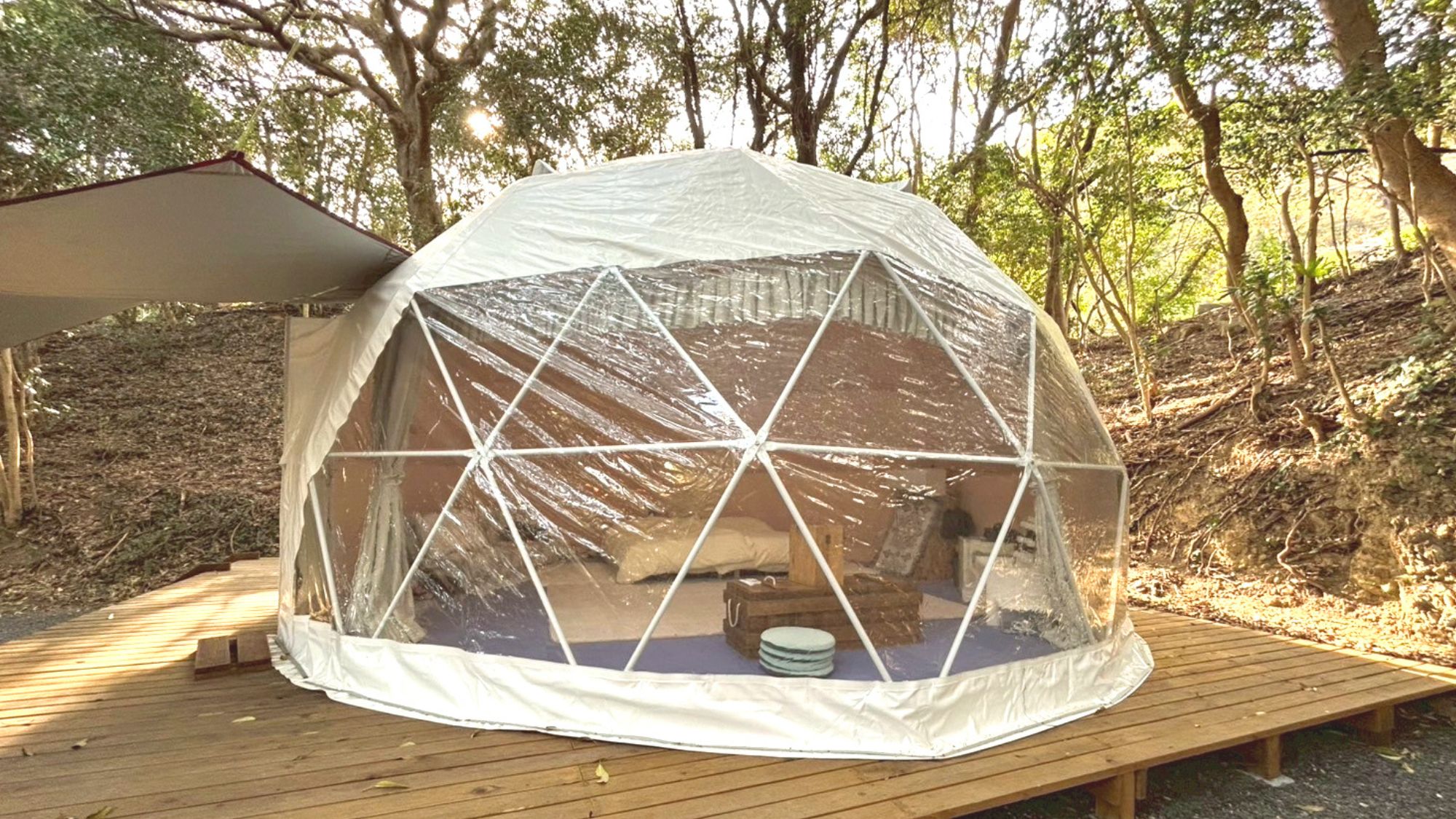 TASO FOREST CAMP:マシュマロ