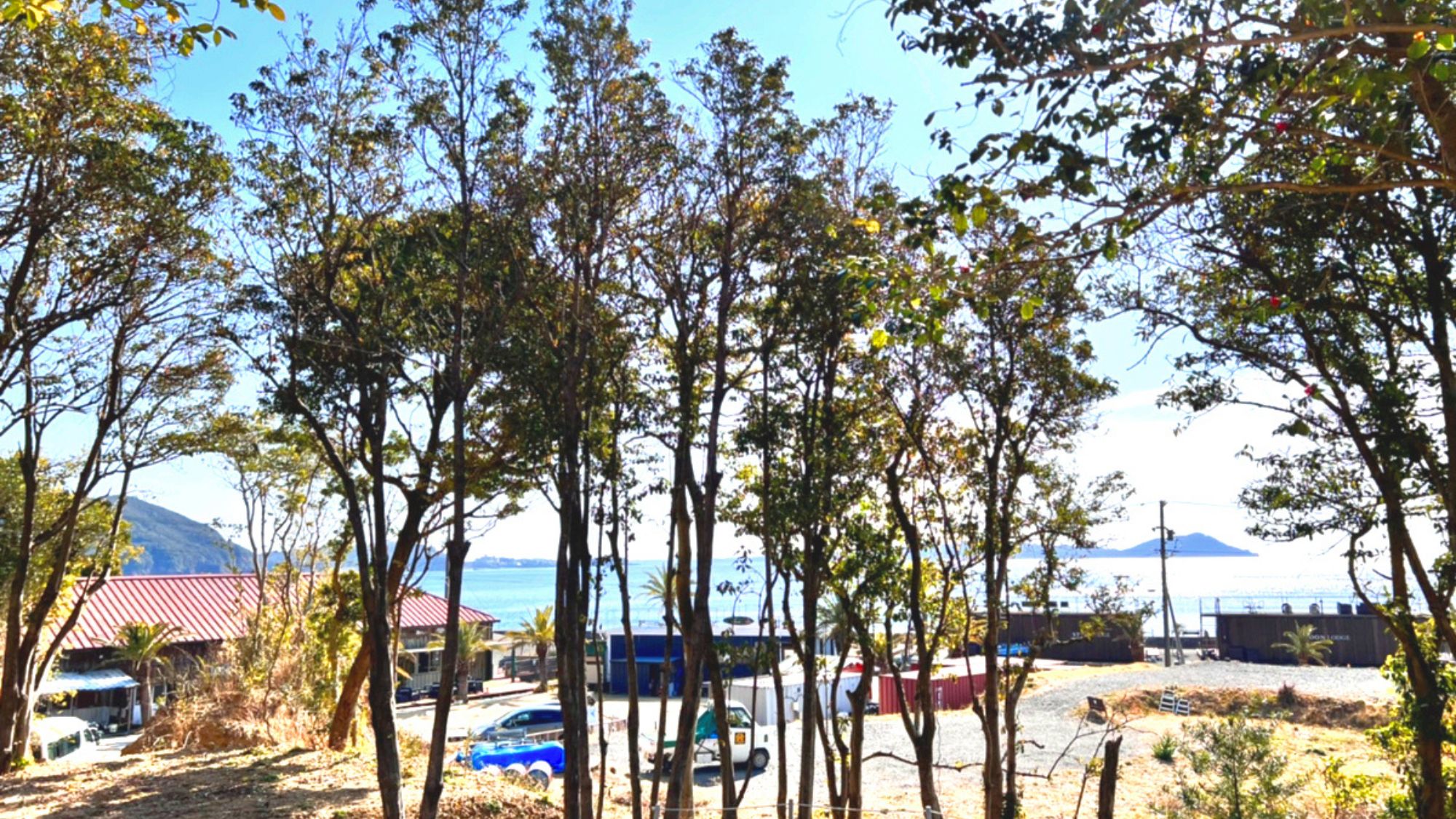 グランピングからは海が望むことができます