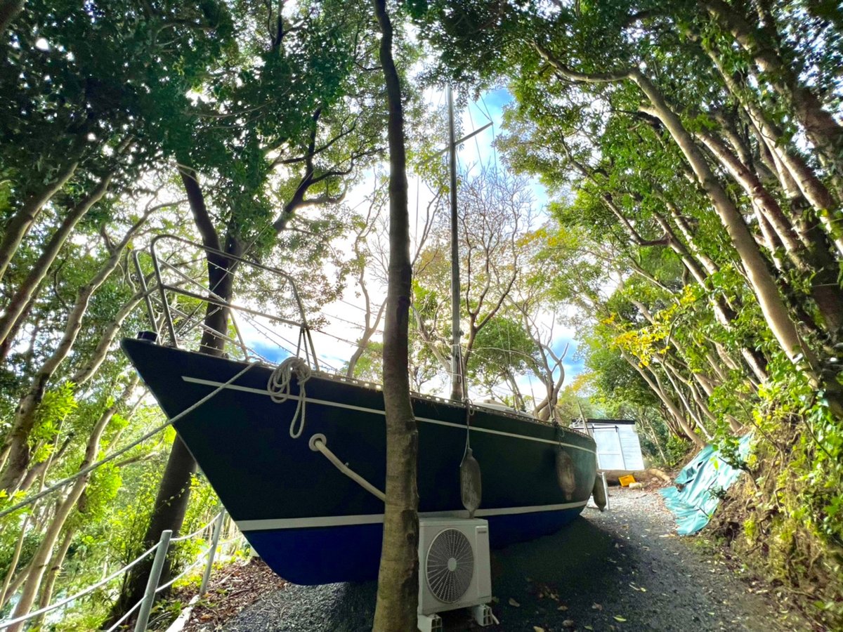 TASO FOREST MARINA:ピーターソン