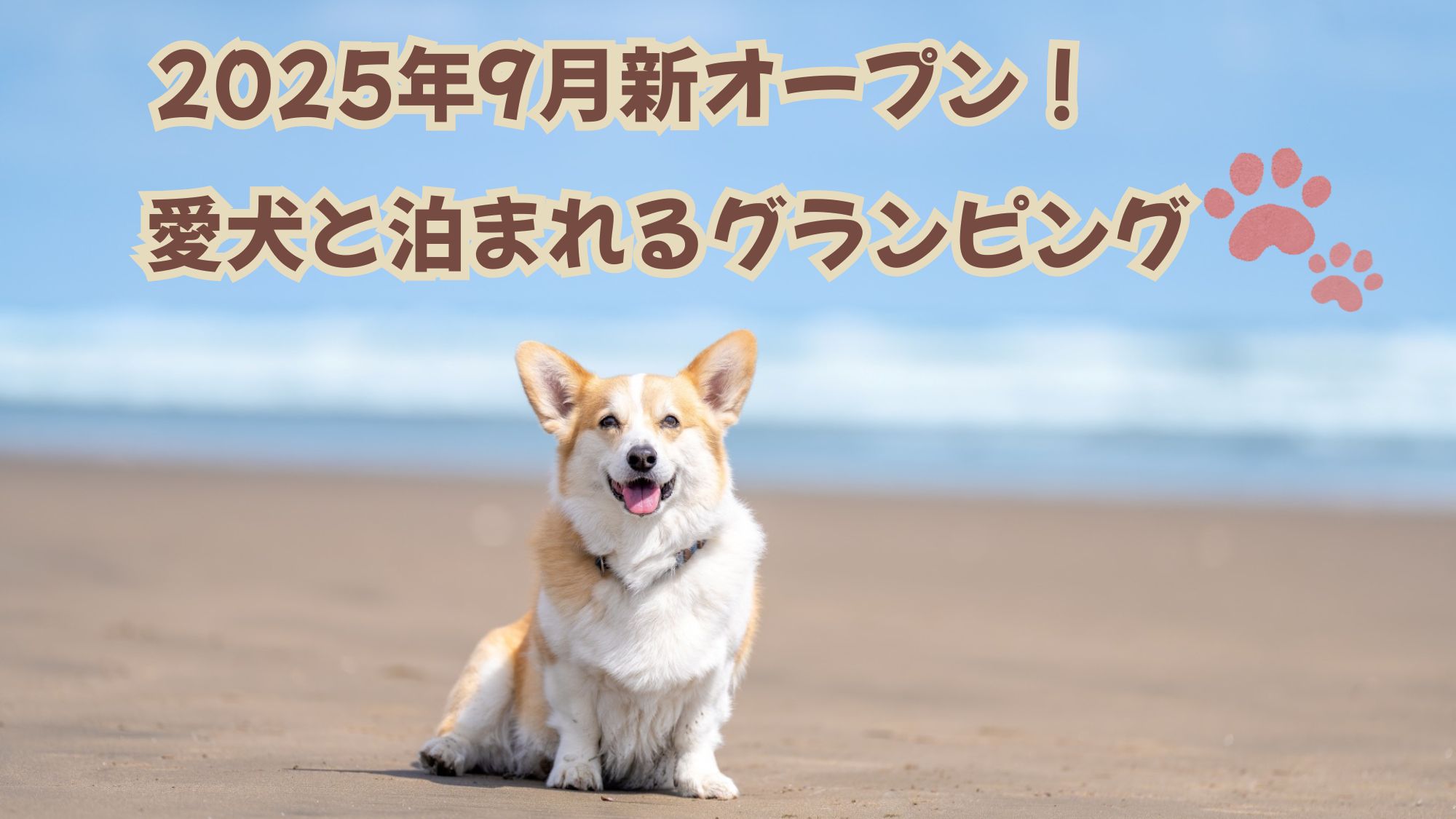 2025年9月新オープン！愛犬と泊まれるお部屋販売開始！