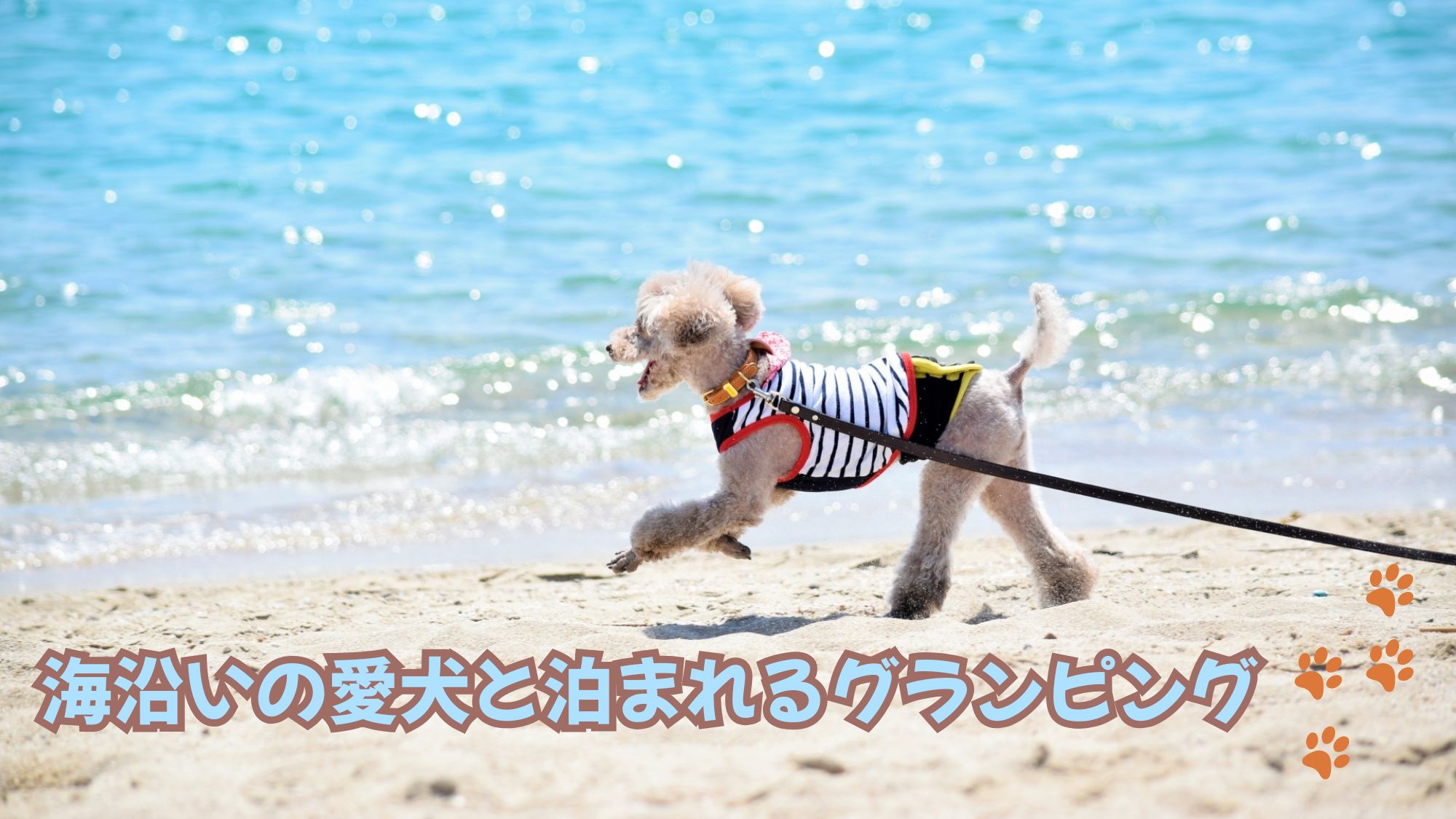 2025年9月新オープン！海が目の前の愛犬と泊まれるグランピング！