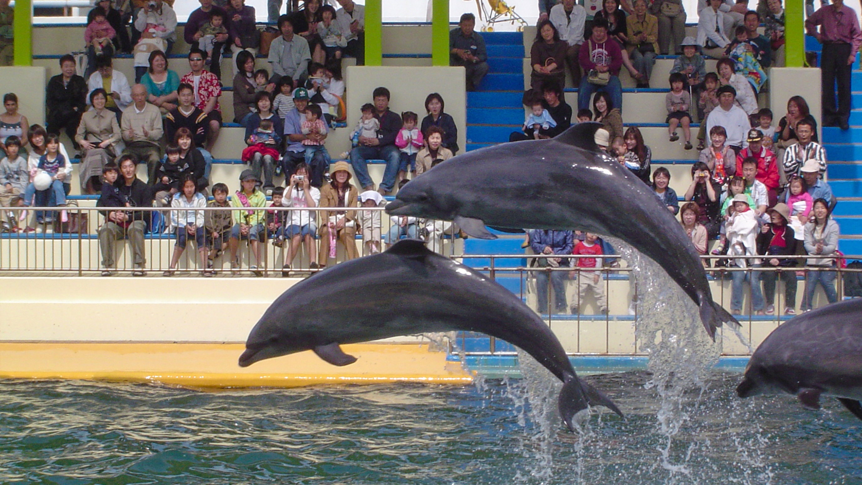 越前松島水族館