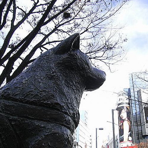 ＳＨＩＢＵＹＡ　ＨＯＴＥＬ　ＥＮ（渋谷ホテル　エン） - 写真 81
