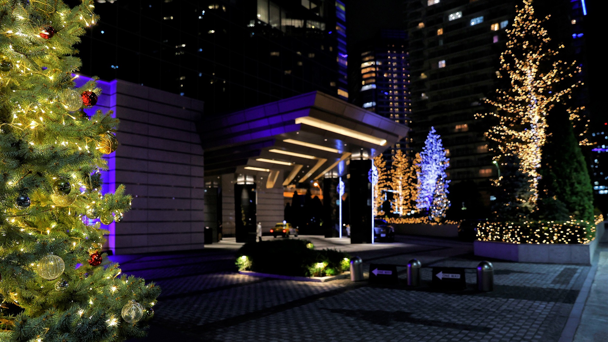 ホテルのイルミネーション（10月中旬～3月上旬まで点灯予定）　※イメージ