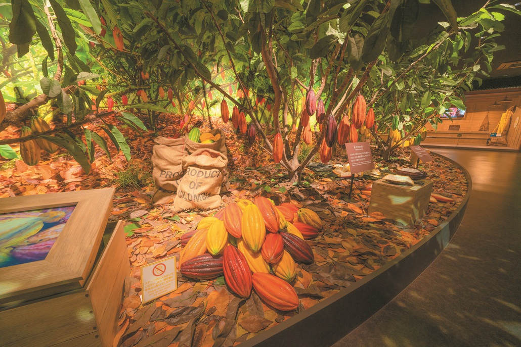 ロイズカカオ＆チョコレートタウン入場券・駐車場・12時イン・お菓子付◆チョコレートを旅しよう　素泊り