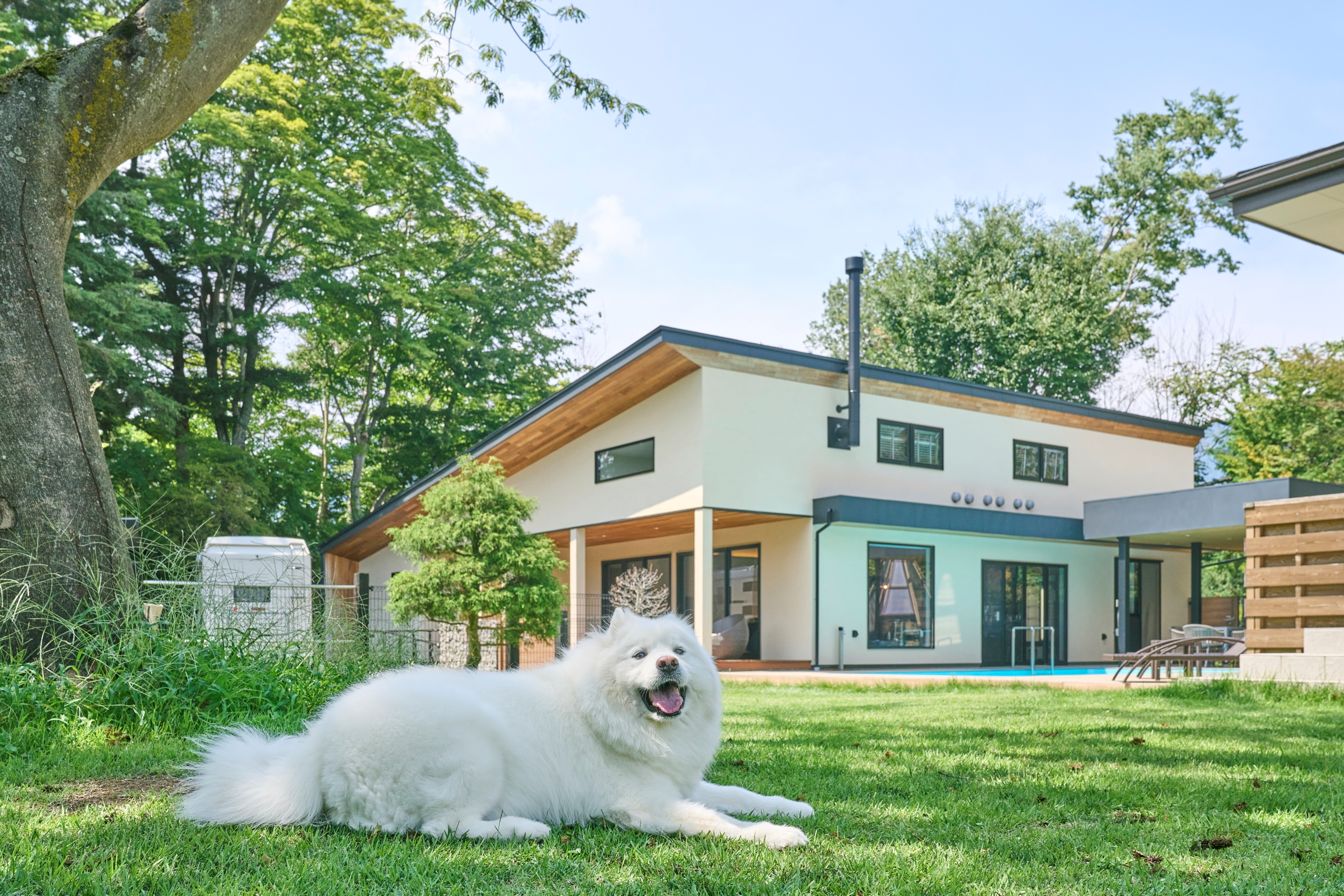 300坪の広大なドッグランは高い塀で囲まれた天然芝。大型犬もOK！
