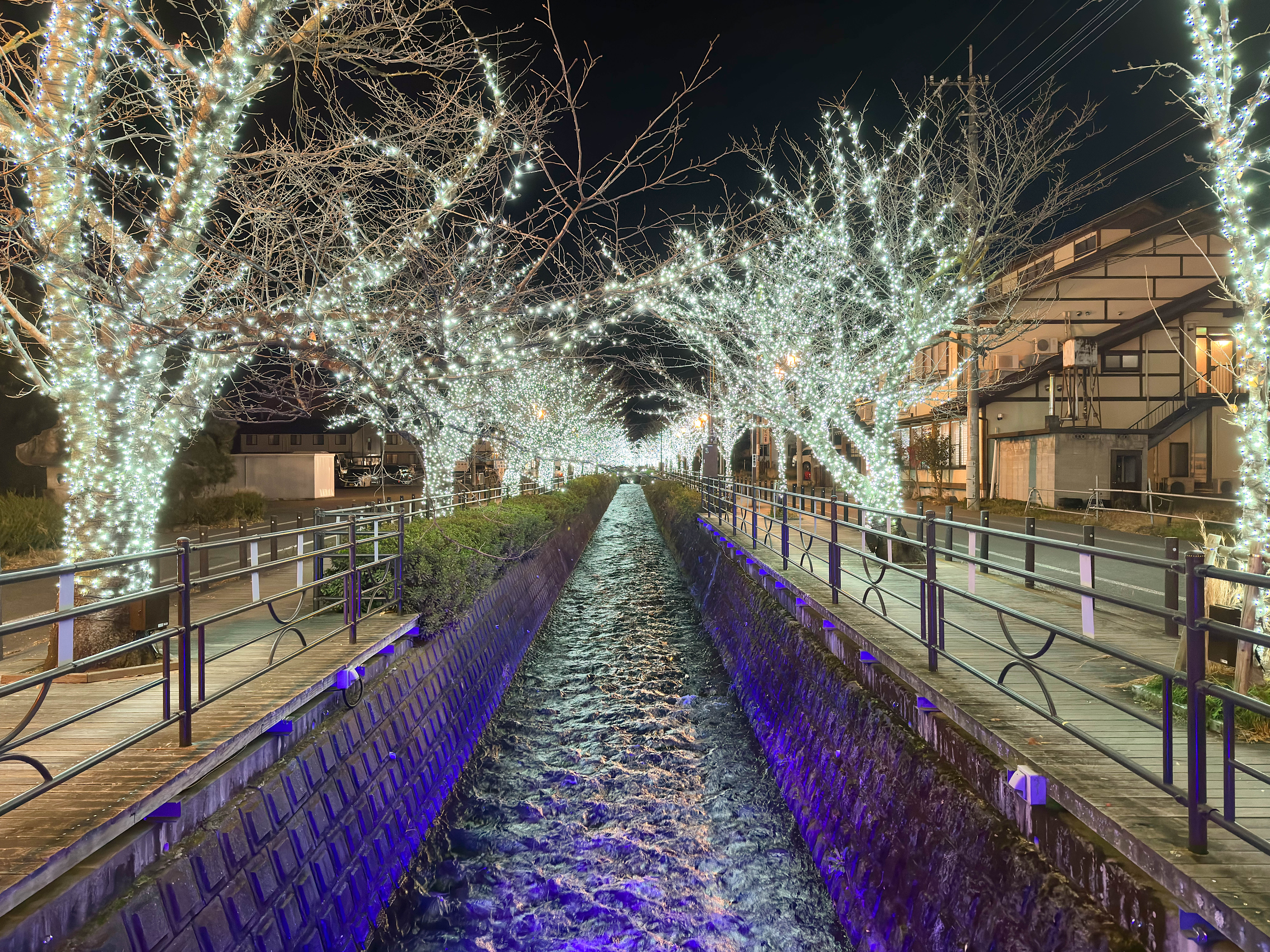 冬・期間限定イルミネーション