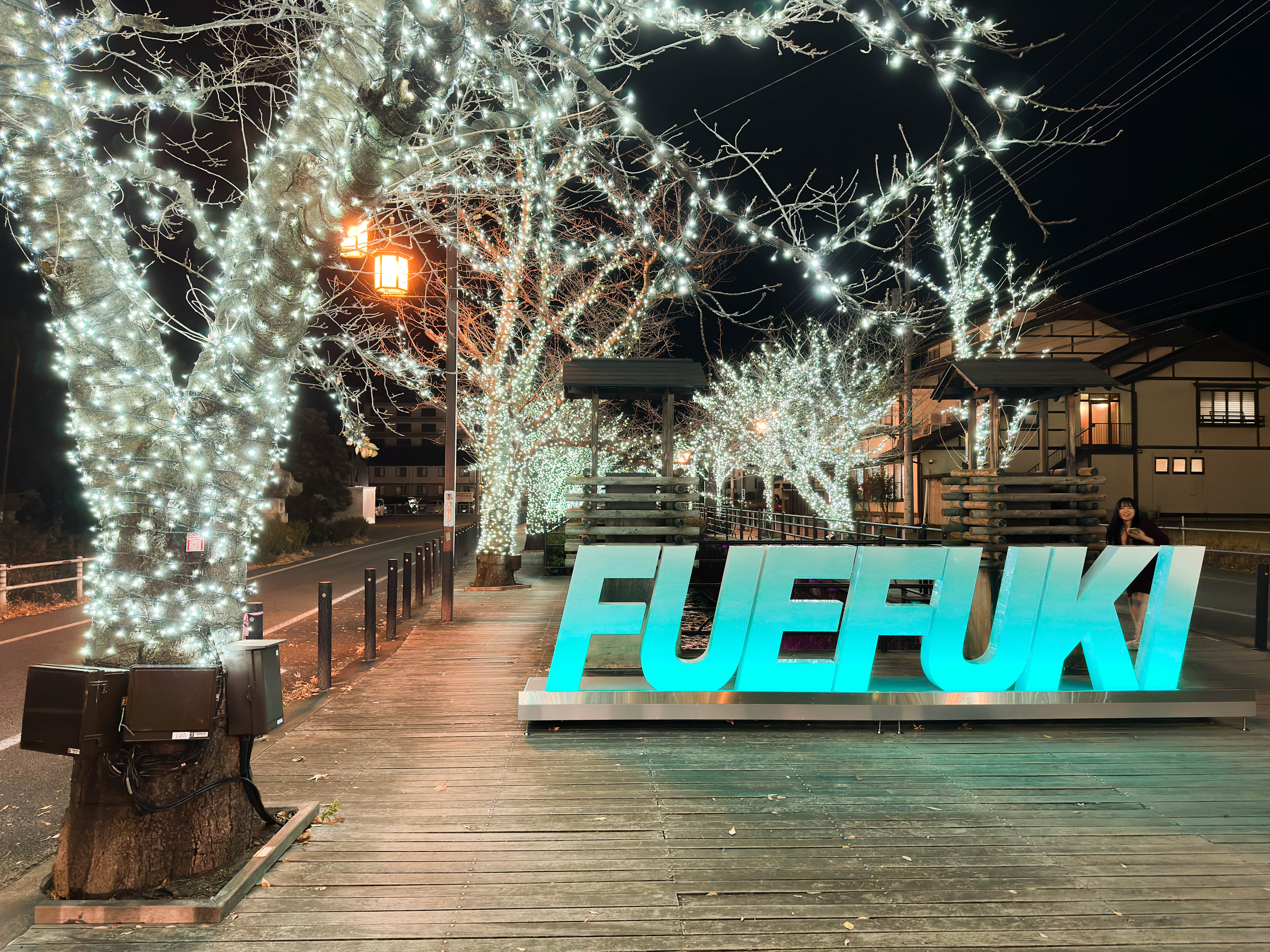 冬・期間限定イルミネーション