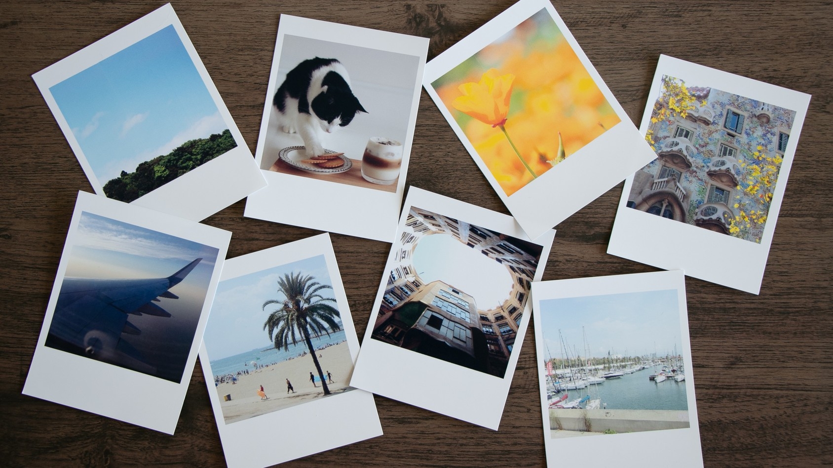 【卒業旅行専用★3名以上限定！30％OFF×チェキ特典】グランピング×山口和牛「燦」BBQ＜2食付＞