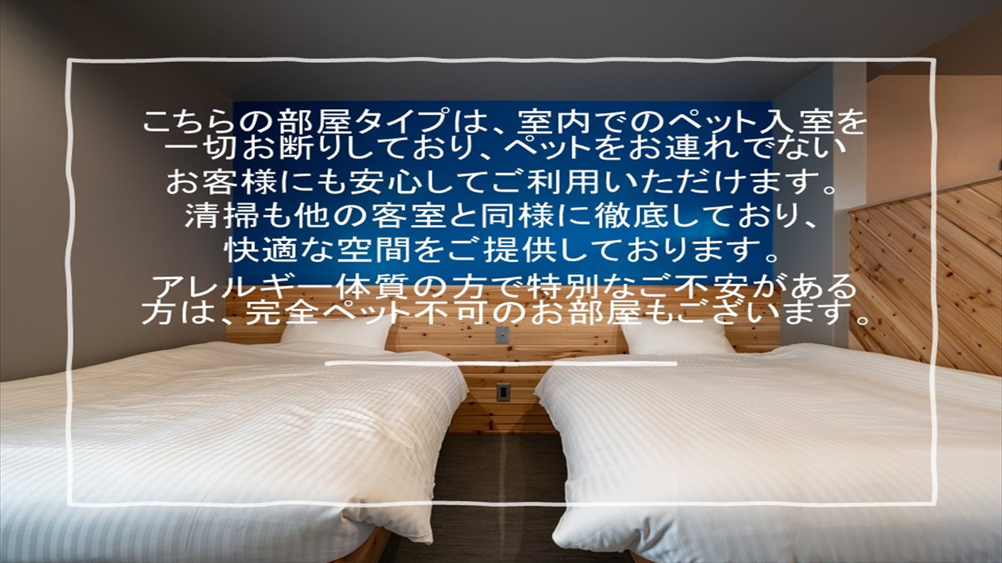 コテージ一棟貸し【ペット同伴なし】