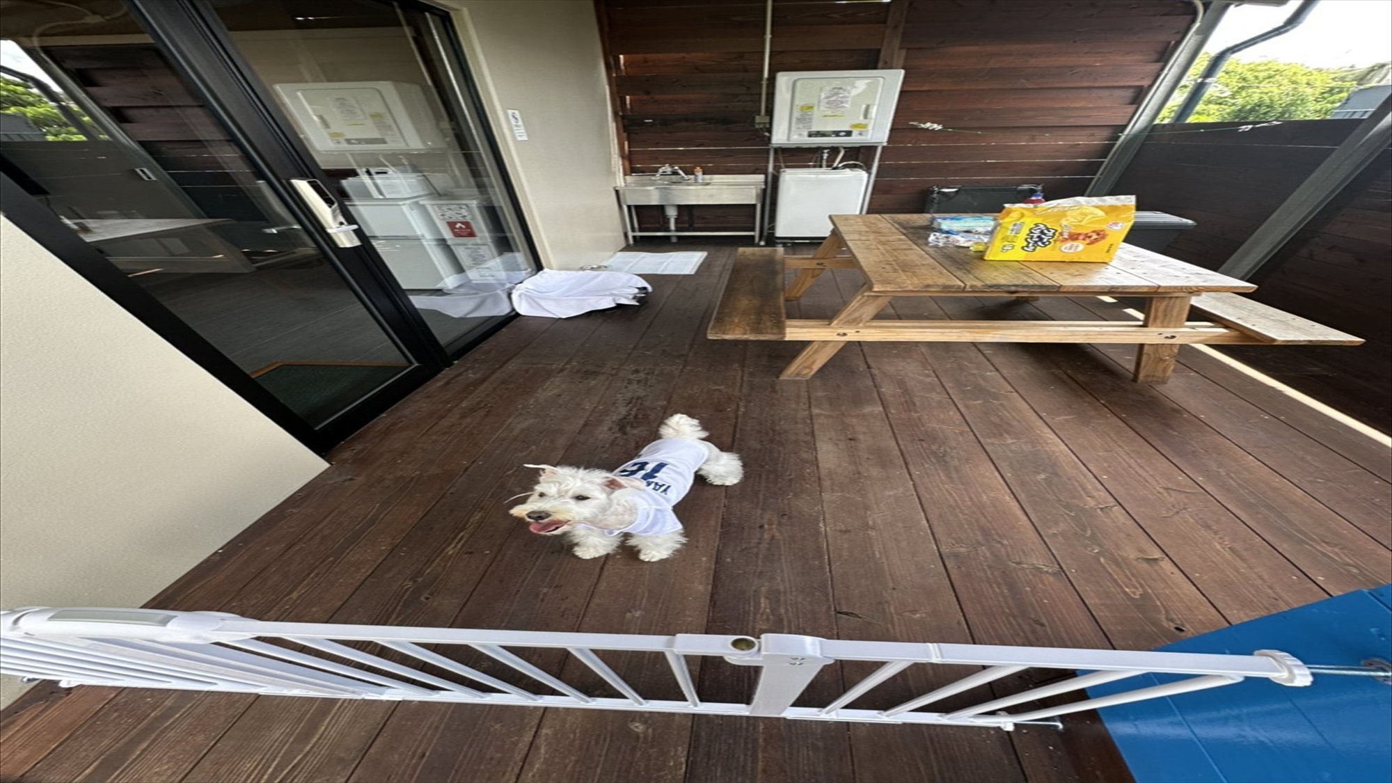 【ペット同伴プラン】【素泊まり】愛犬と一緒に泊まれる！ウッドテラス付きコテージ　無料駐車場有