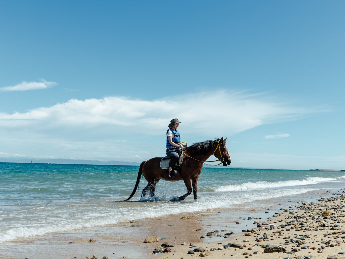 淡路じゃのひれ乗馬クラブ（ホテルから車で52分）：海の近くや林の中で乗馬体験ができます