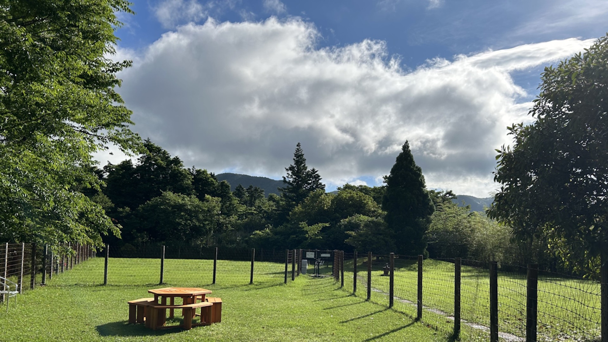 箱根の自然に包まれながらBBQが楽しめます♪