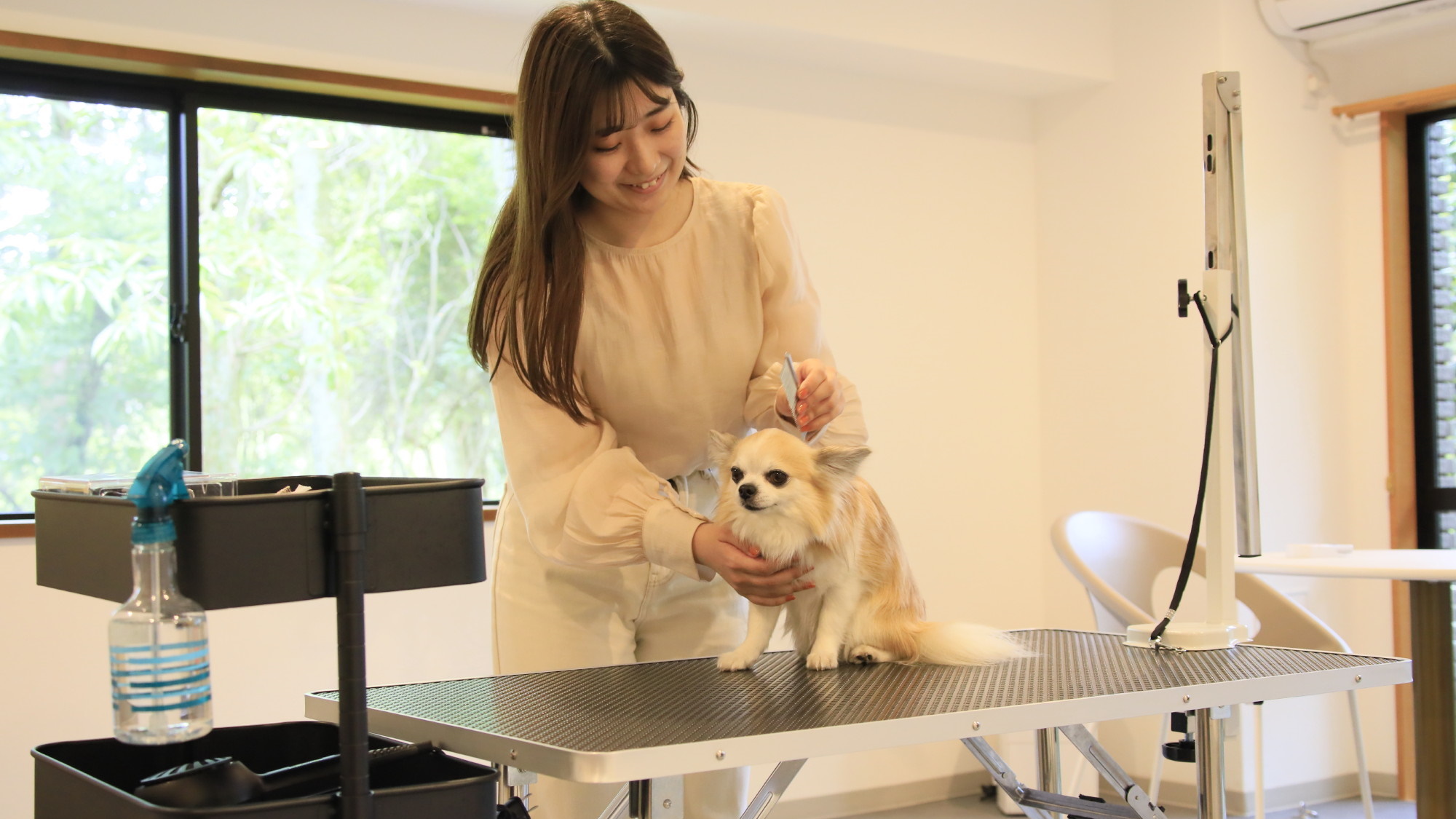 【シャンプー・トリミングルーム】本格的なトリミンググッズで愛犬もリフレッシュ♪