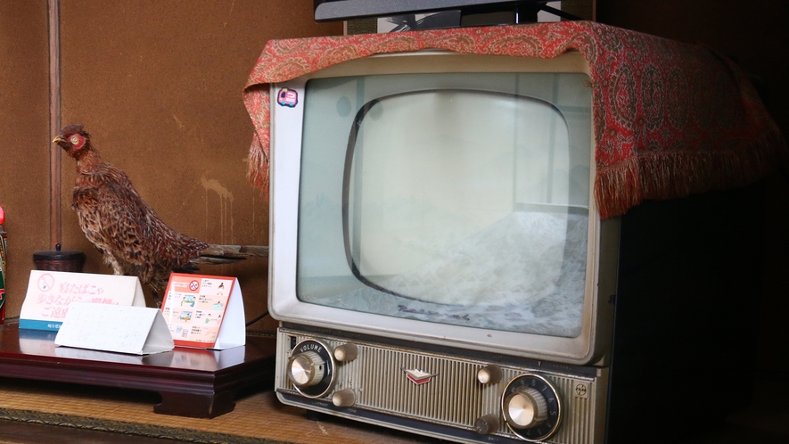 【イメージ】　一部のお部屋には今も昔のテレビが鎮座します。