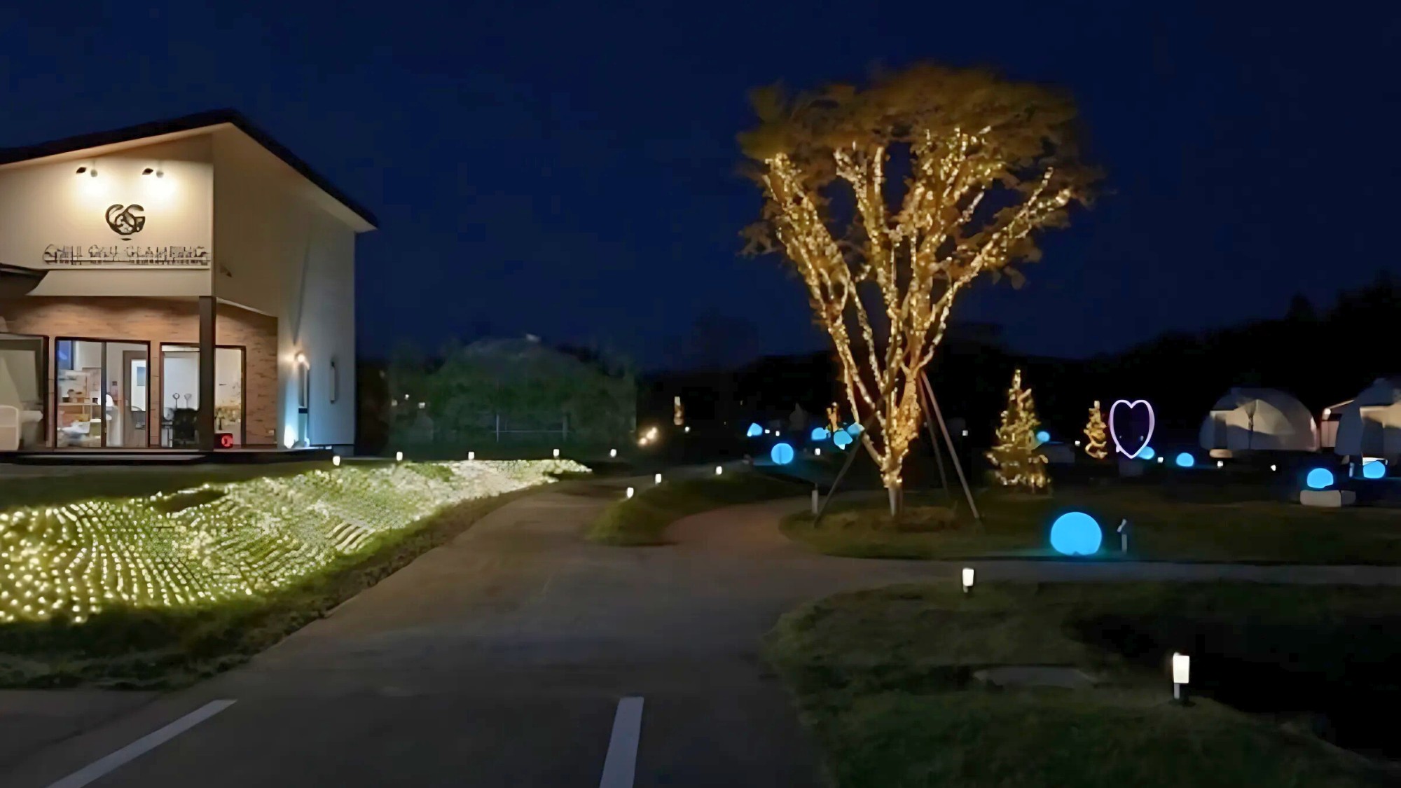 ライトアップされた夜の散歩道