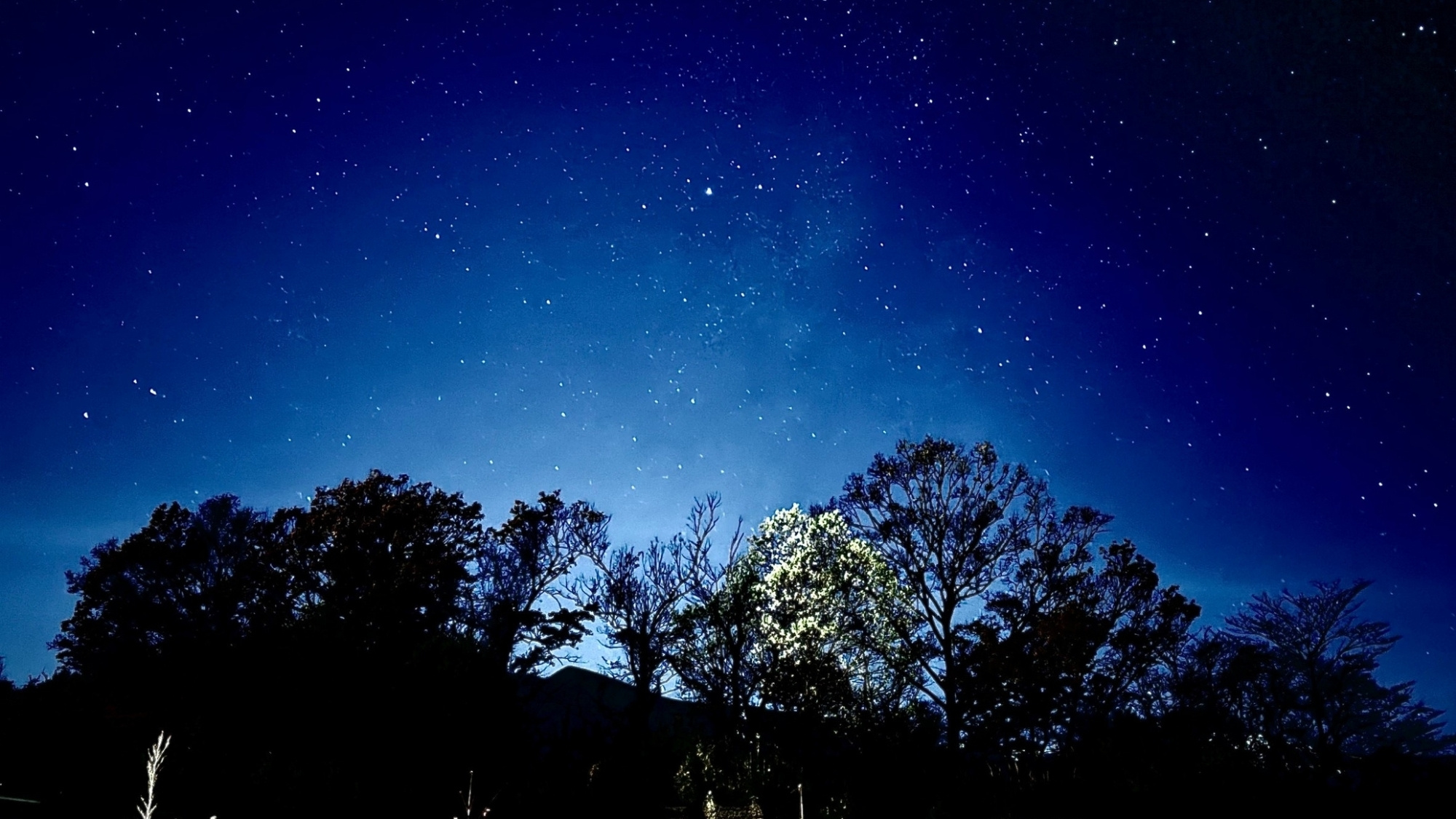 夜景