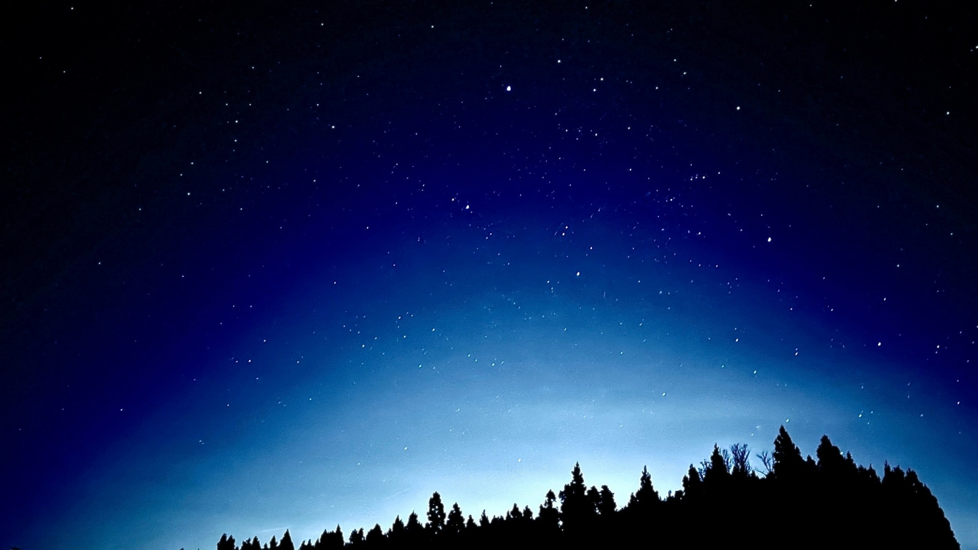 夜景