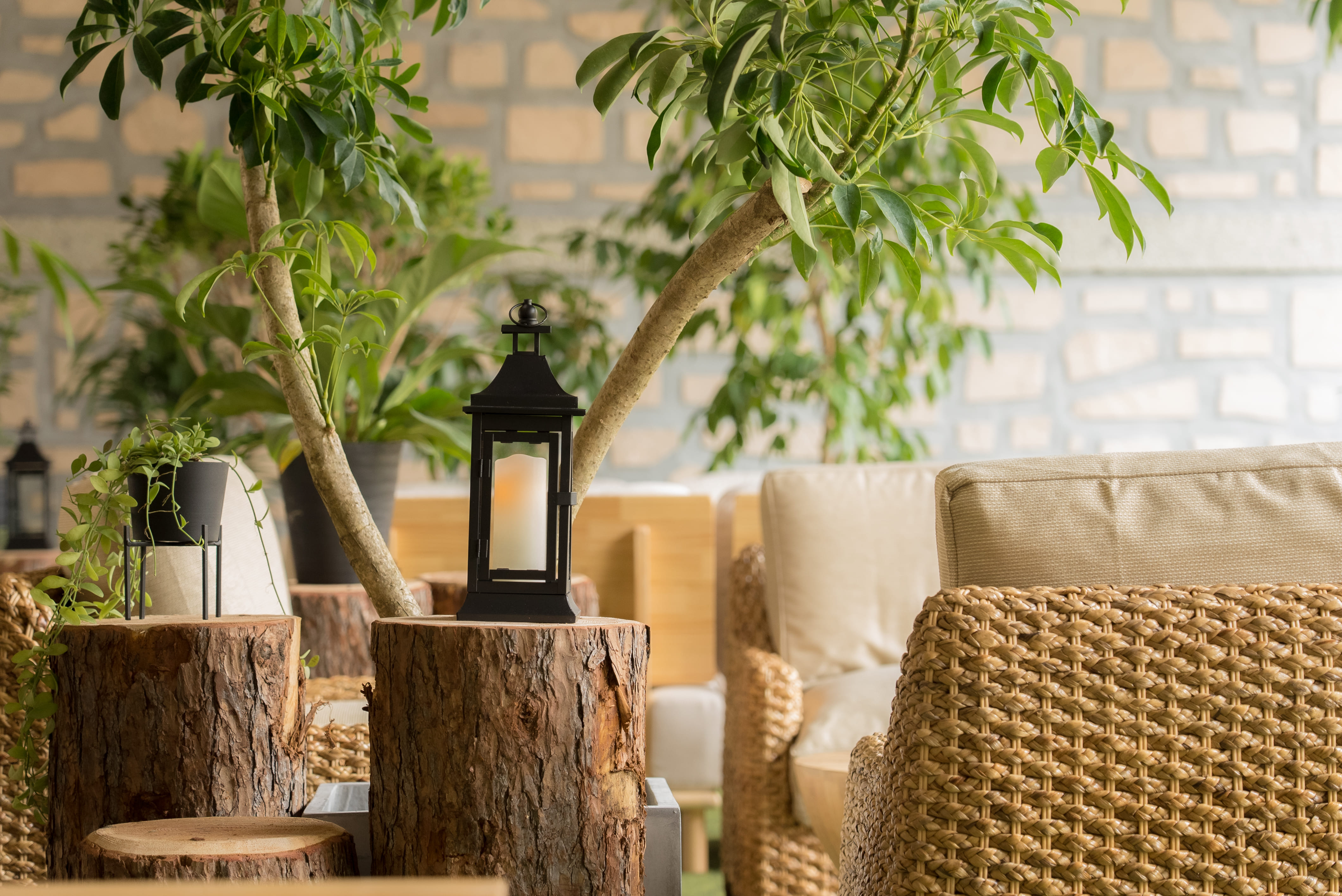 ロビーイメージ