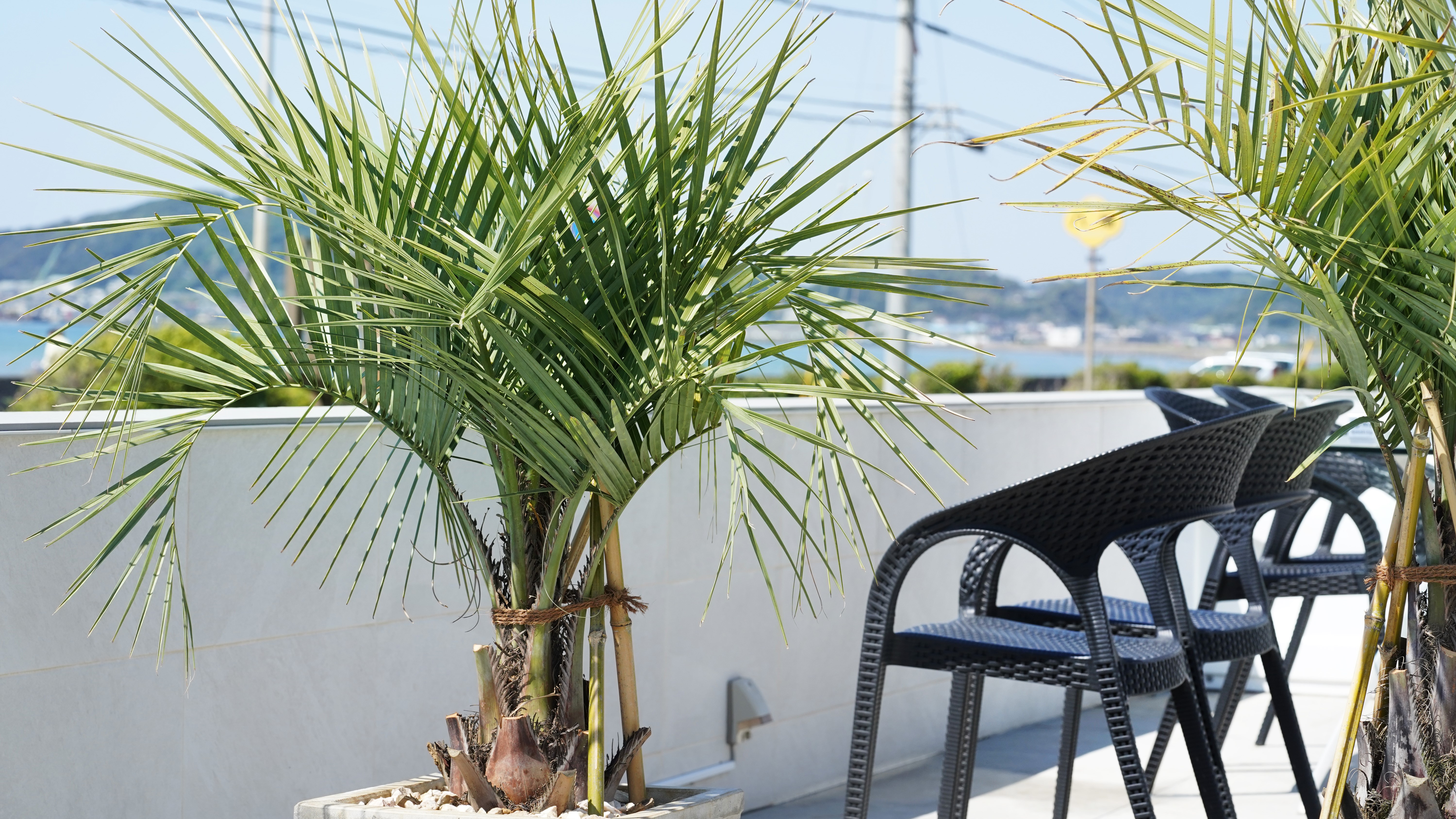 【TRAILER-B】スタンダードヴィラ／デッキで海を眺めながら過ごす時間（棟一例）