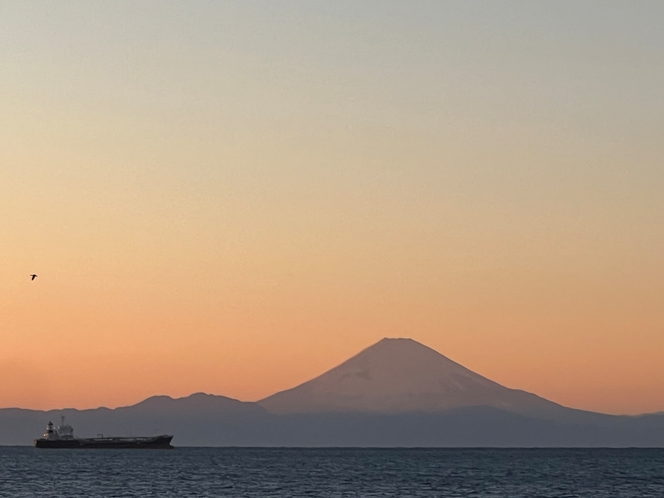 2014 1月1日　当施設デッキから館山湾越しに臨む富士山