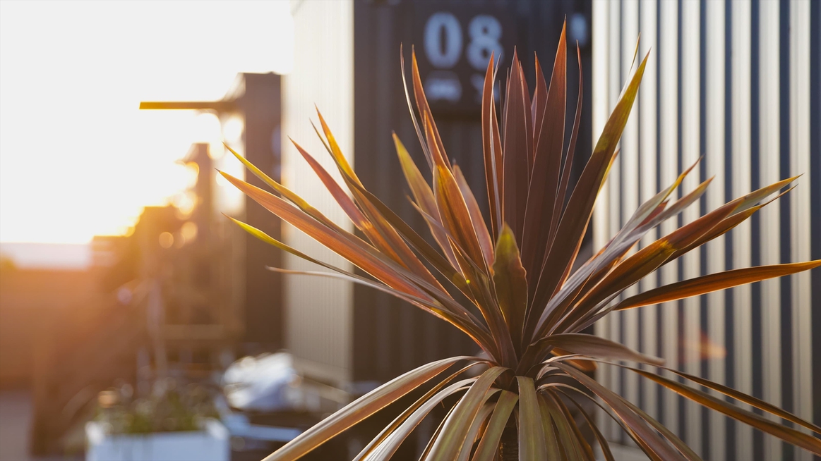 【20％OFF】【楽天スーパーSALE】友人や家族と贅沢時間を満喫 │ スタンダードプラン（素泊り）