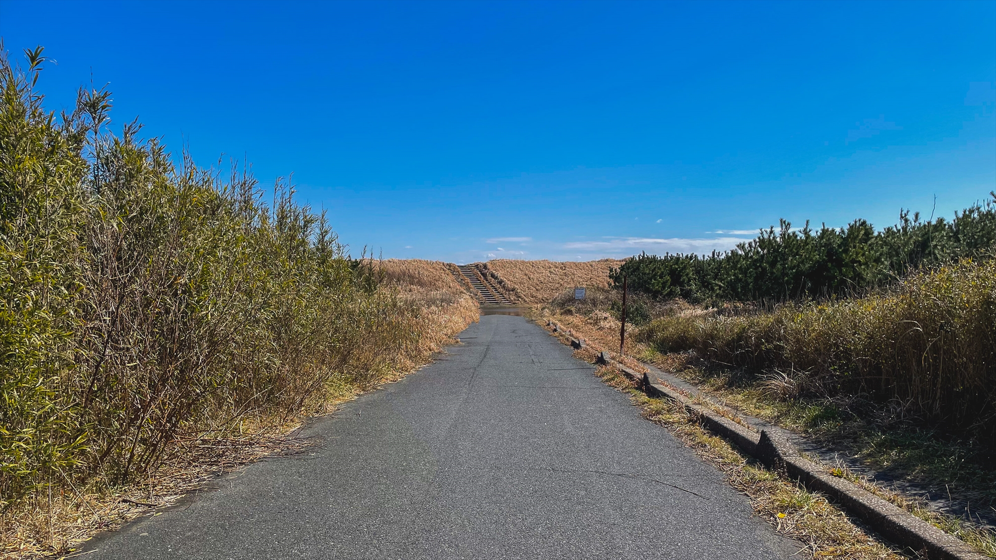 【周辺／東浪見海岸】ビーチ周辺には自然豊かなエリアがあり、散策やハイキングでリフレッシュできます