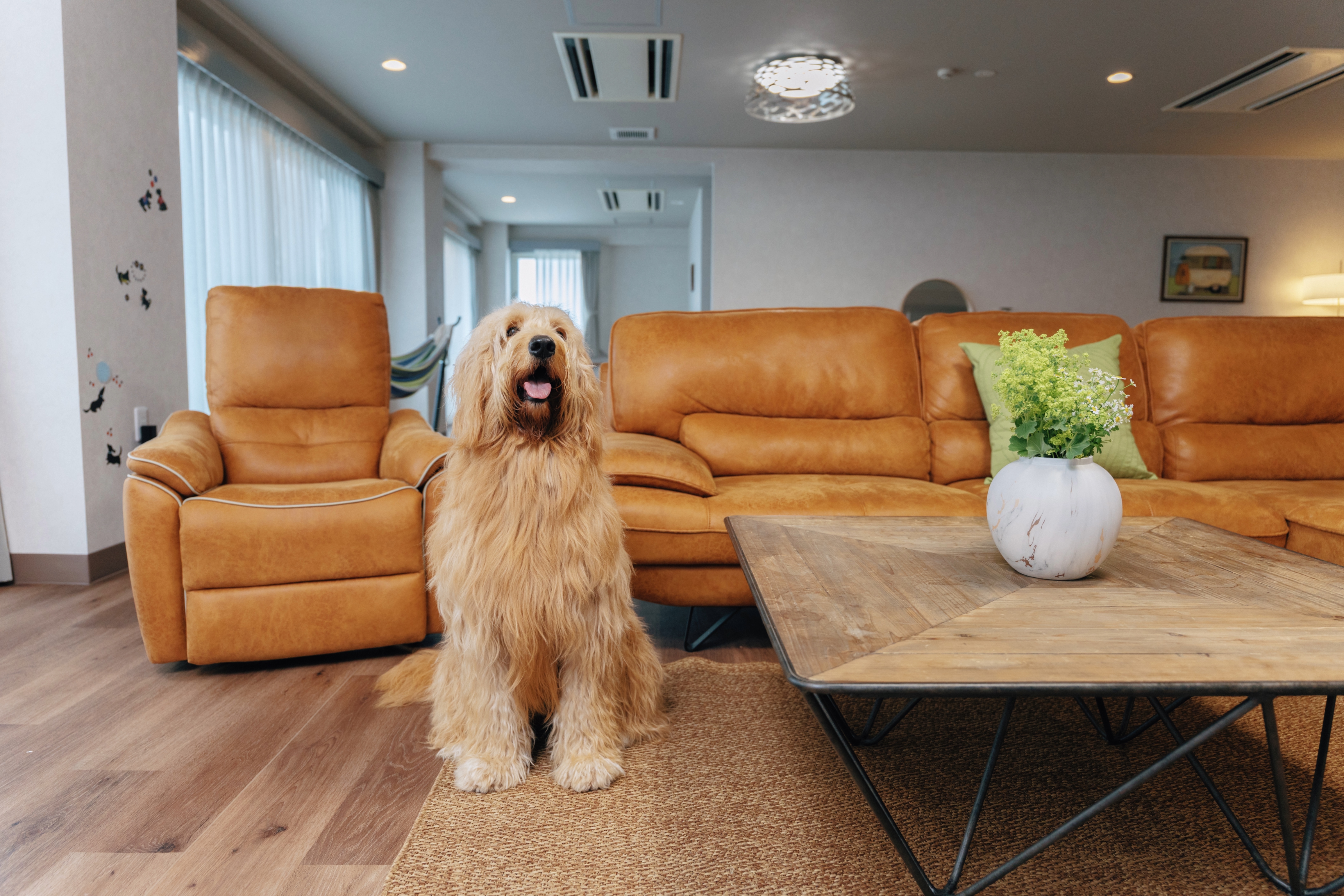 スイートルーム