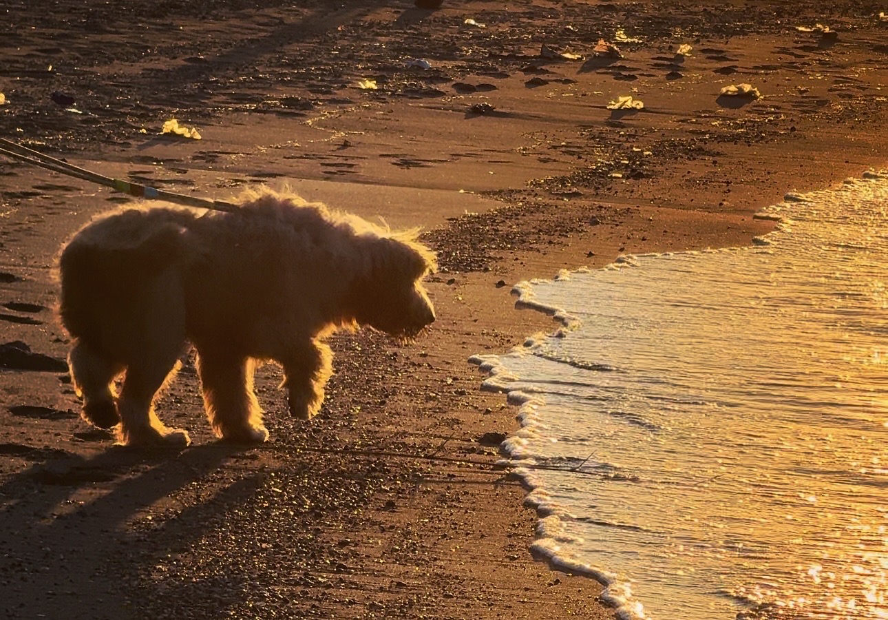 荒井浜海水浴場の夕陽