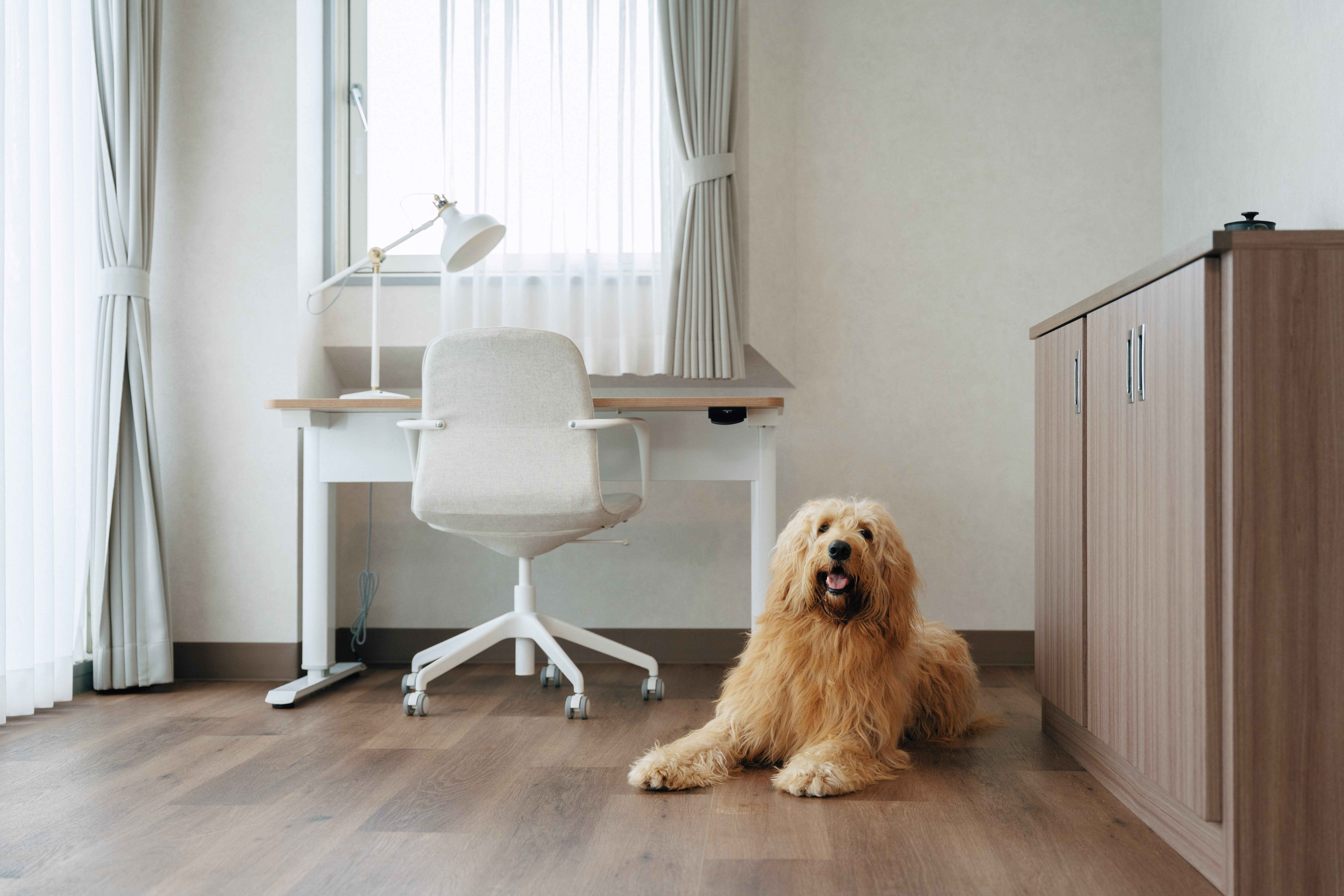 スイートルーム