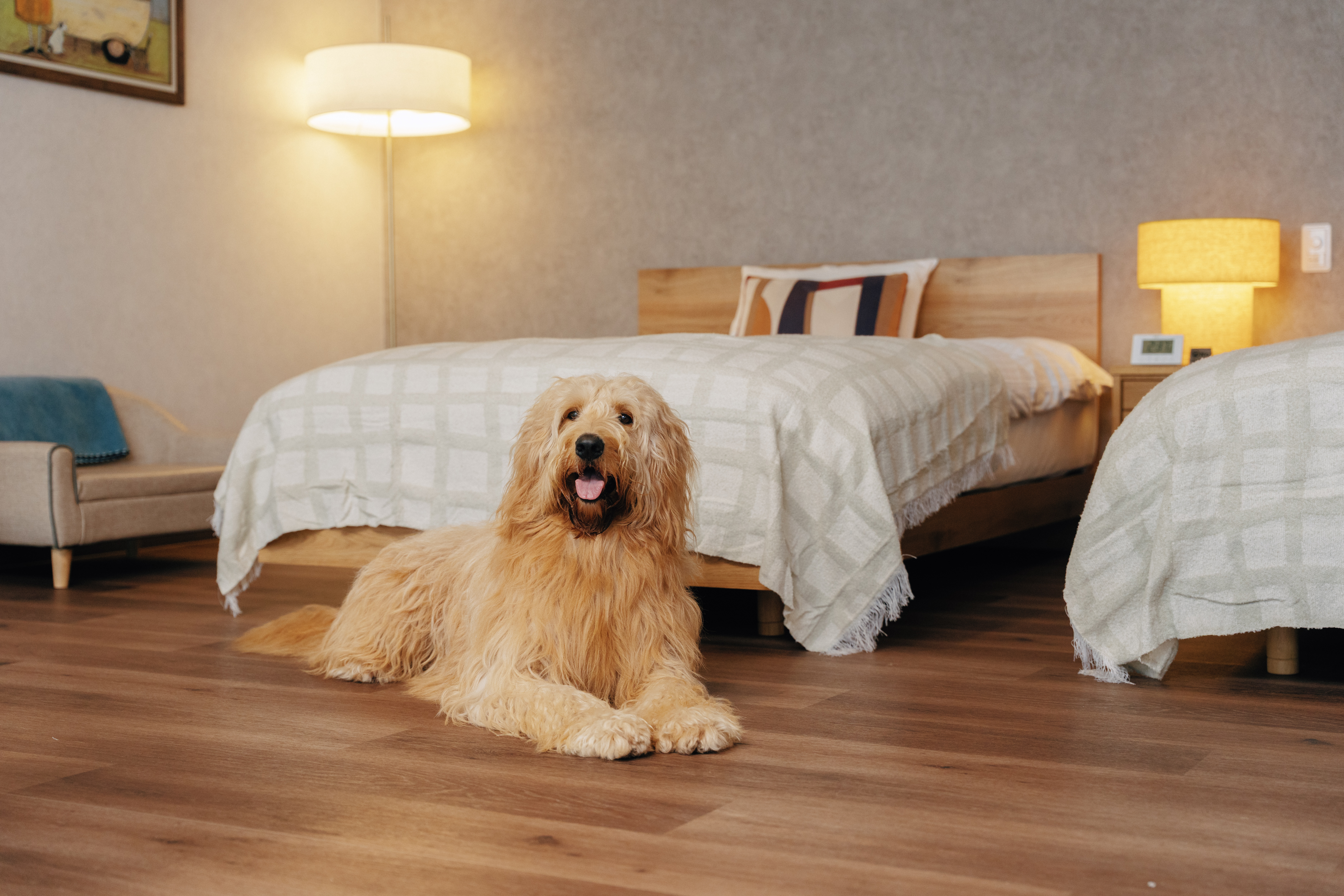 スイートルーム