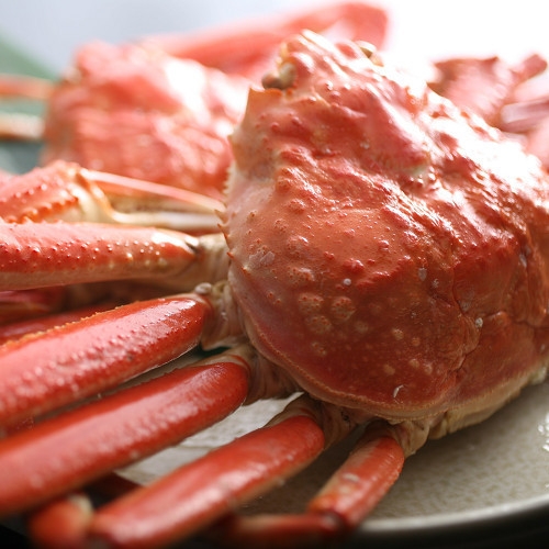 【蟹2杯相当】かにづくしプラン◆人気の貸切露天風呂が１回50分無料♪