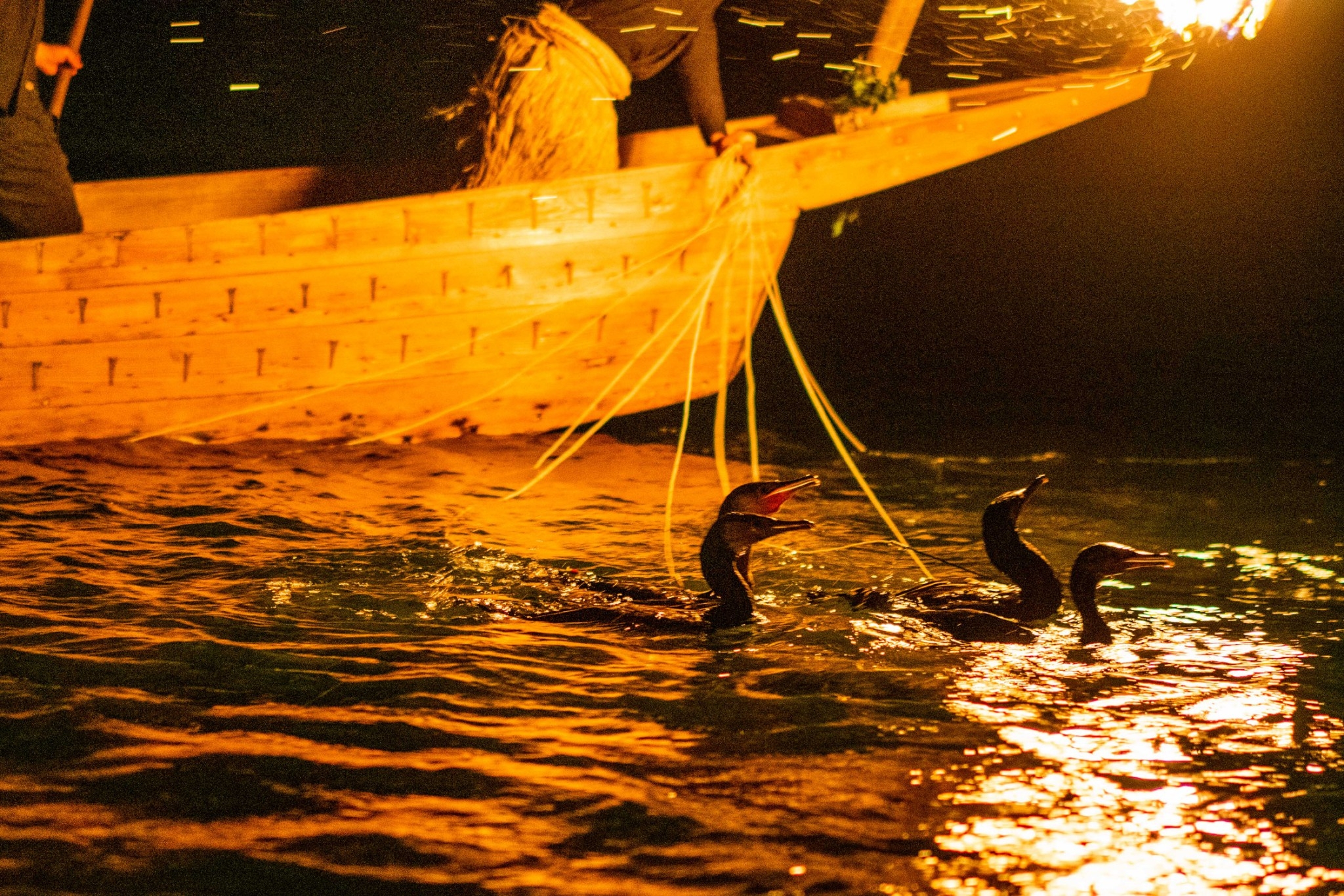 ぎふ長良川の鵜飼い