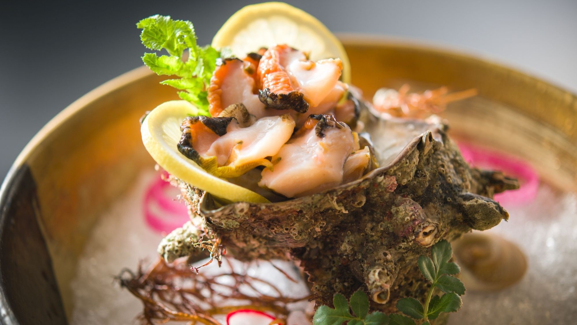 極稀少！市場に出ない『城ヶ崎超特大サザエ』プラン