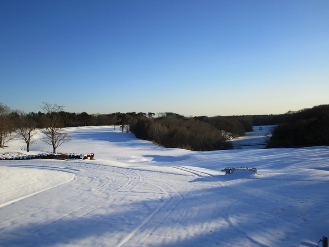 冬のゴルフ場