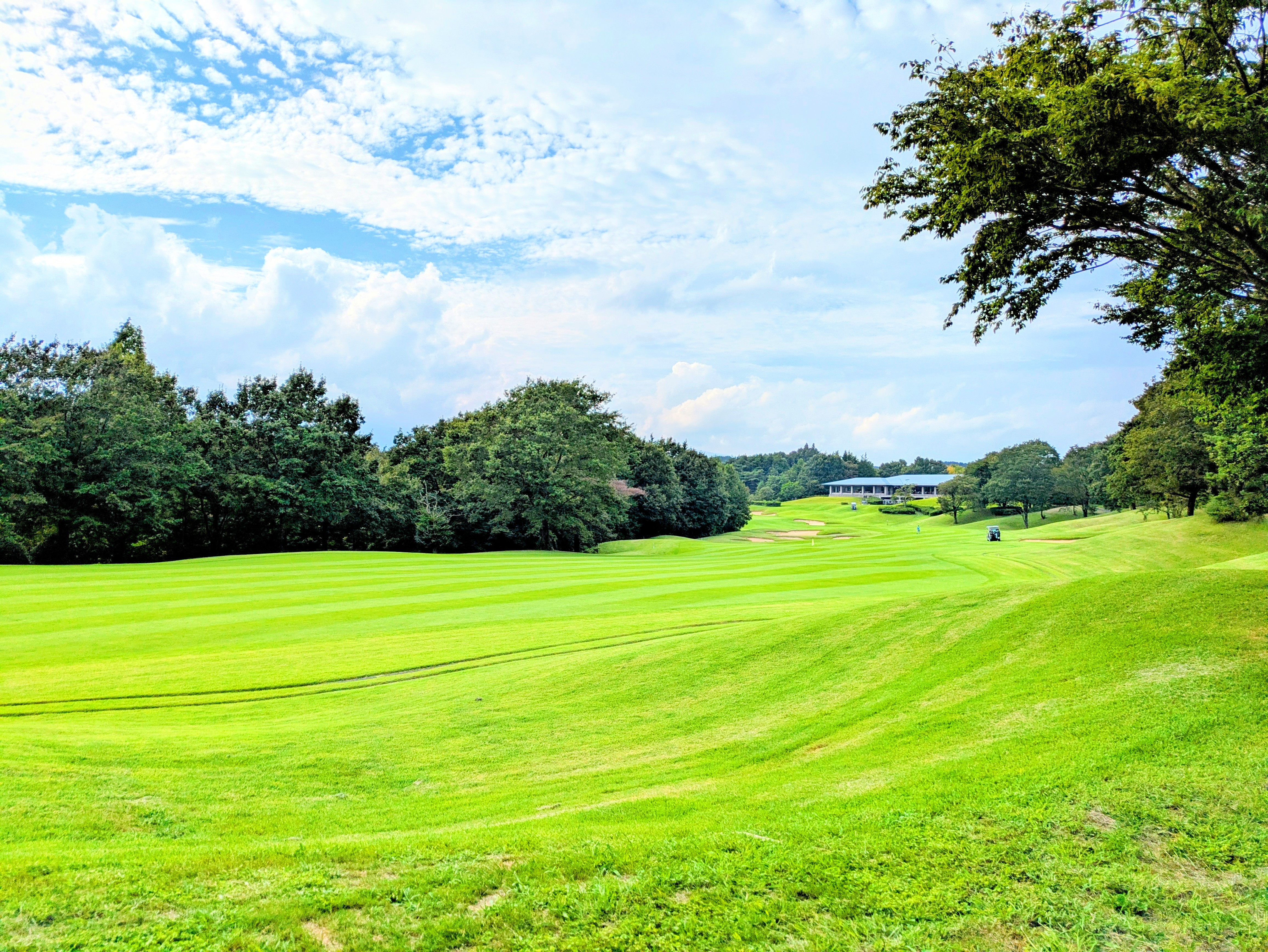 夏のゴルフ場