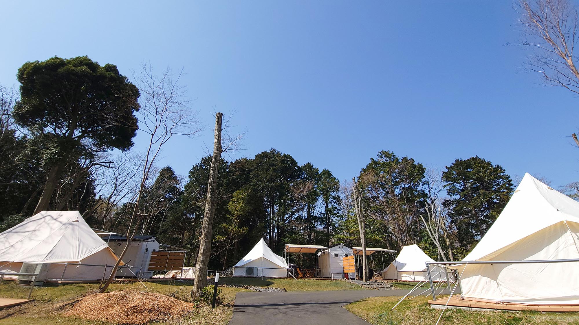 ・【テント一例】伊豆高原にある森のプライベート空間で自然を満喫