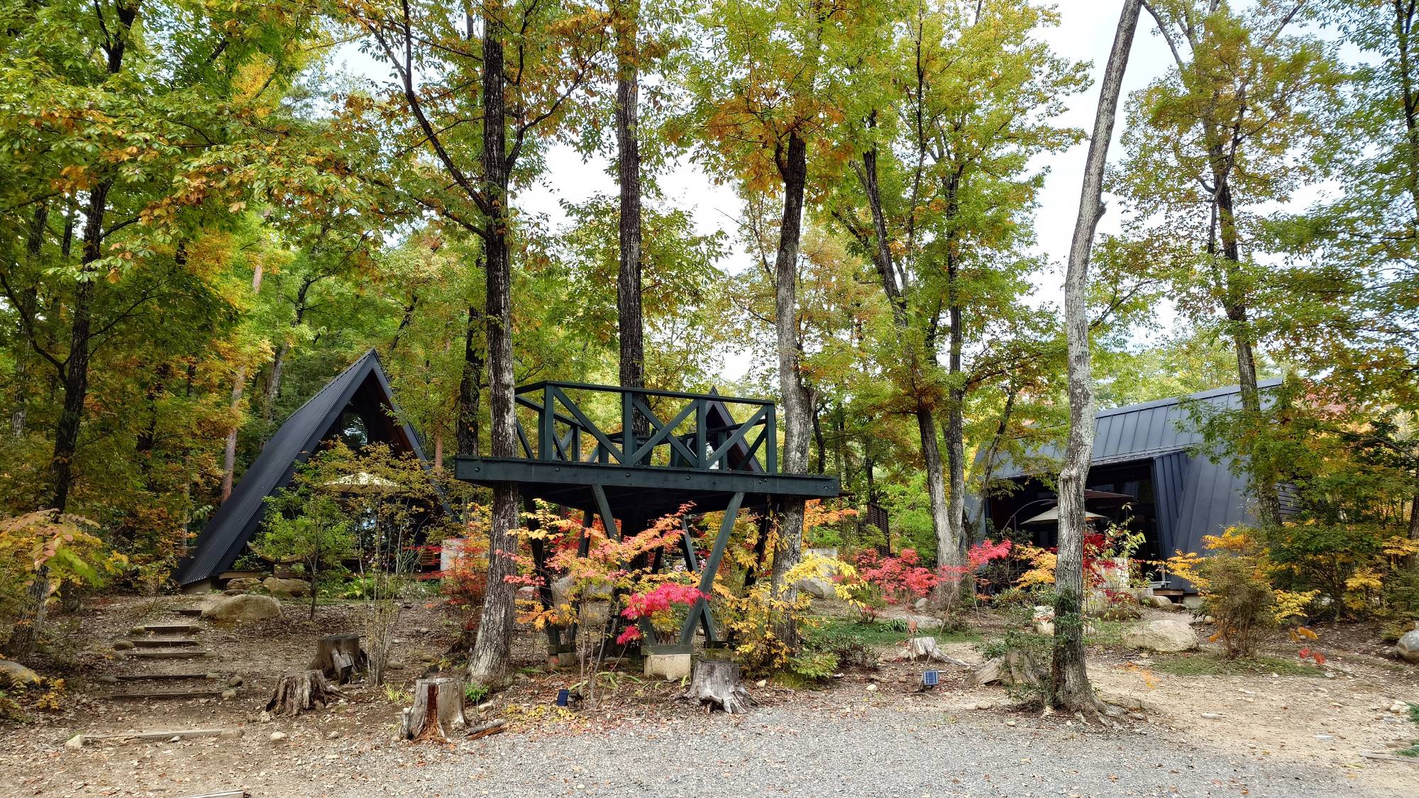 ・紅葉に囲まれた森の隠れ家で、秋のぬくもりを感じる旅へ