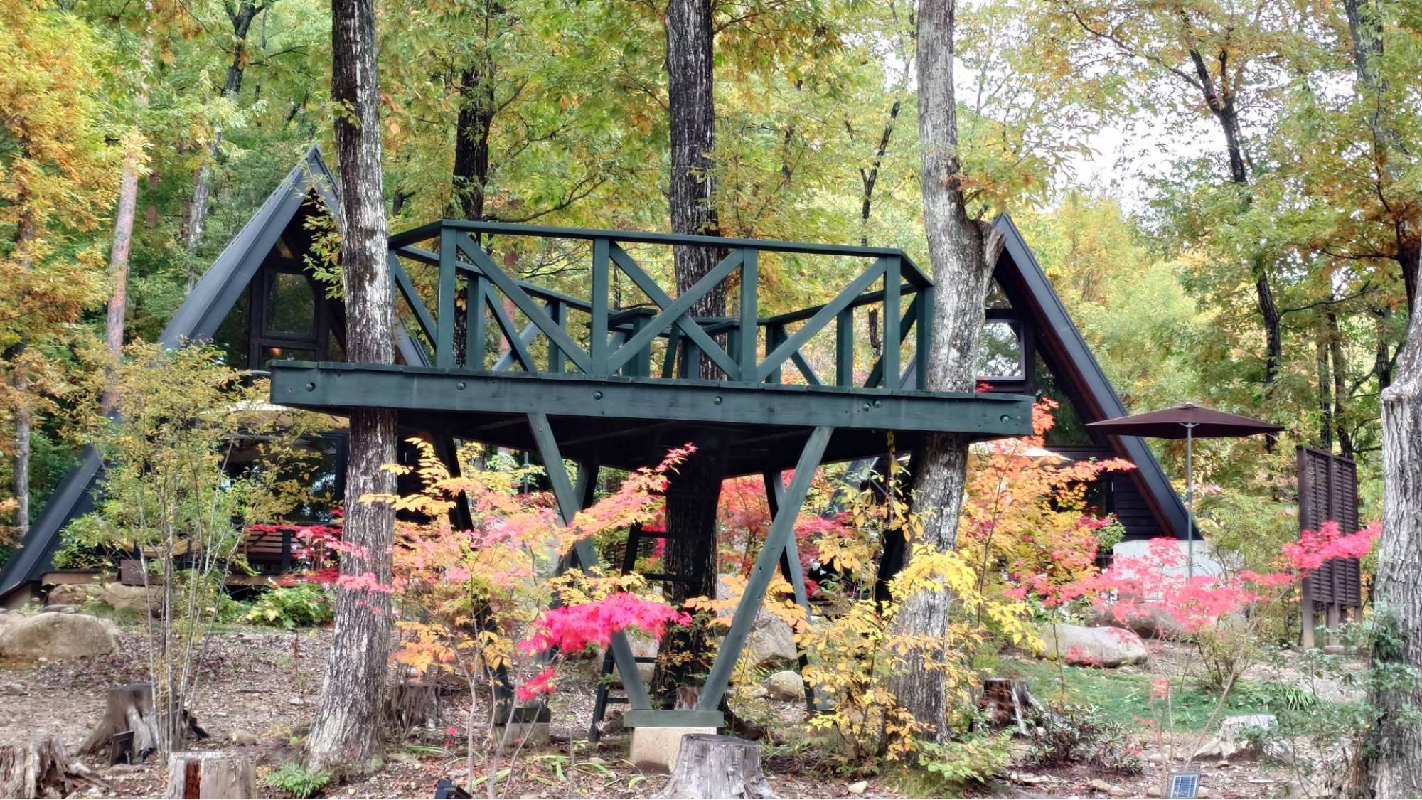 ・森が色づく秋、木々に包まれた三角屋根の宿で穏やかな休日を