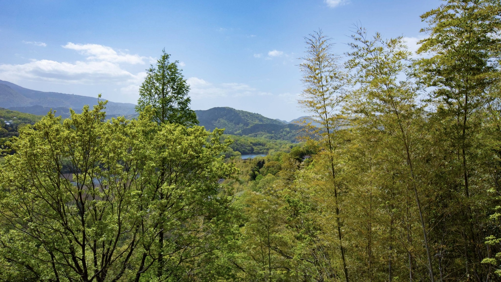 ウッドデッキからの景色。眼下に一碧湖がのぞめます。